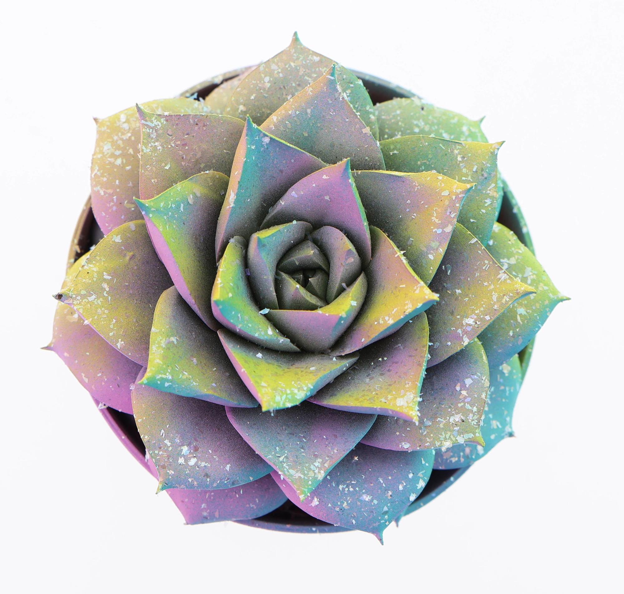 Purper multi gitter mix, D 8,5