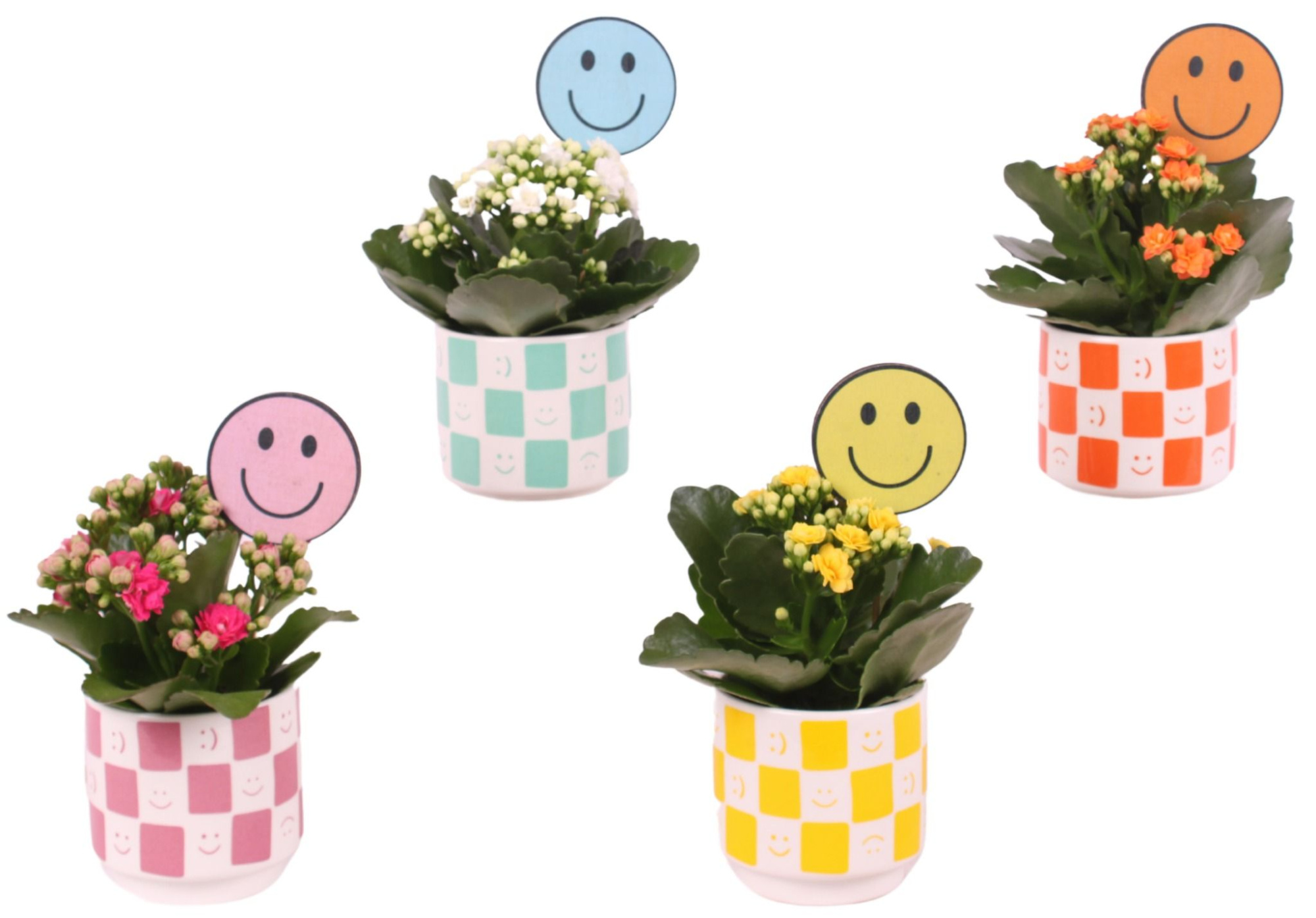 Yearround Arr. Indoor Ceramic Pot Round Smiley Ø08cm 1PP, D 8