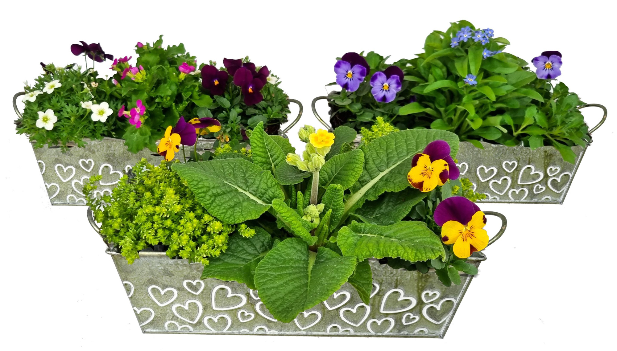 VM762-9003 voorjaarsmix Green Love zink M, D 28