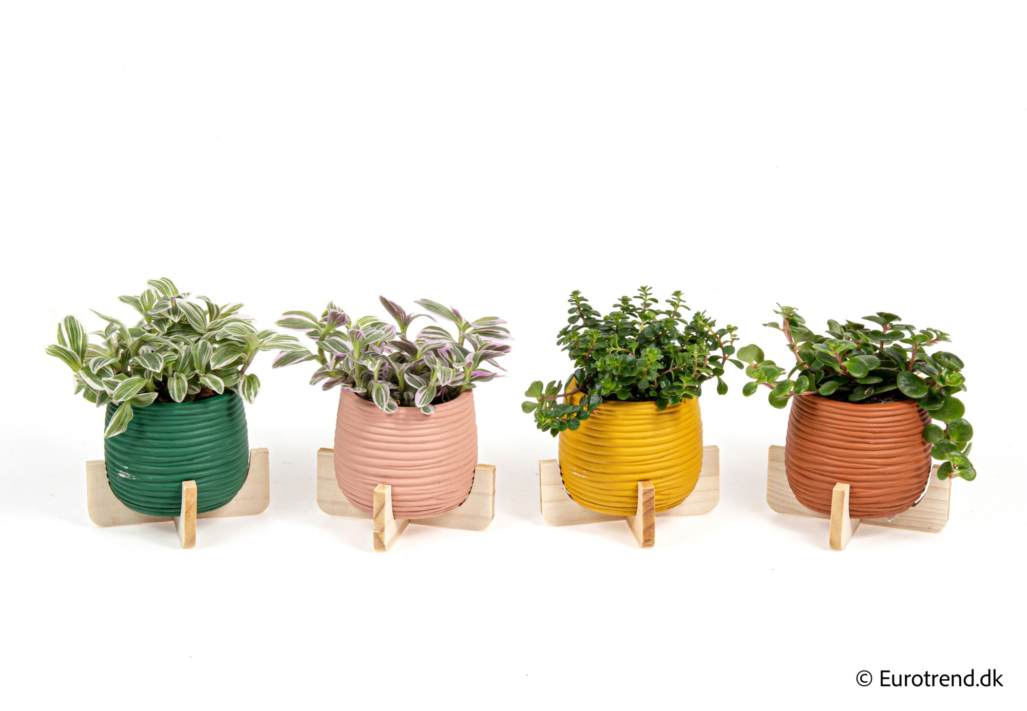 Green mix in New Look ceramic 2026, D 6