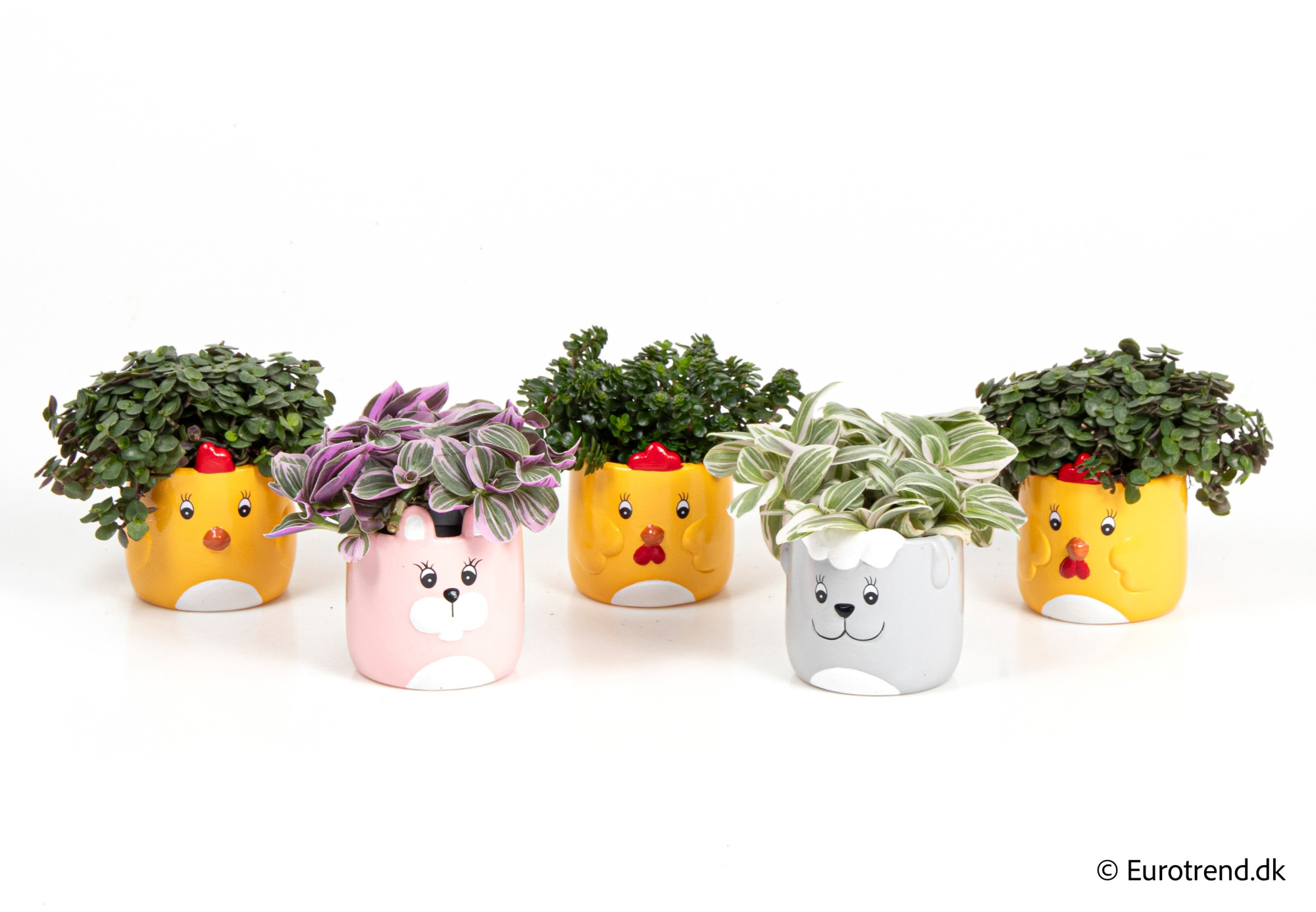 Greenmix in Easter ceramic 2026, D 6