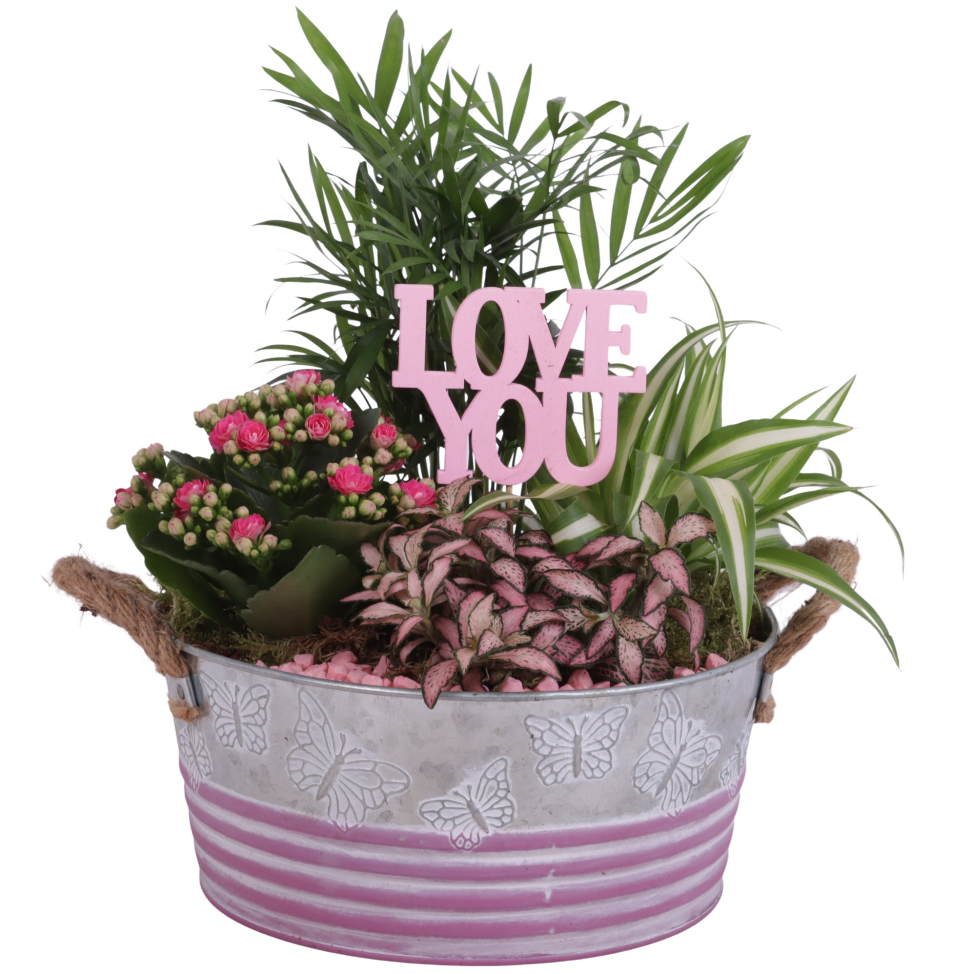 Mothersday Arr. Indoor Zinc Butterfly Pot Ø24cm 4PP, D 24