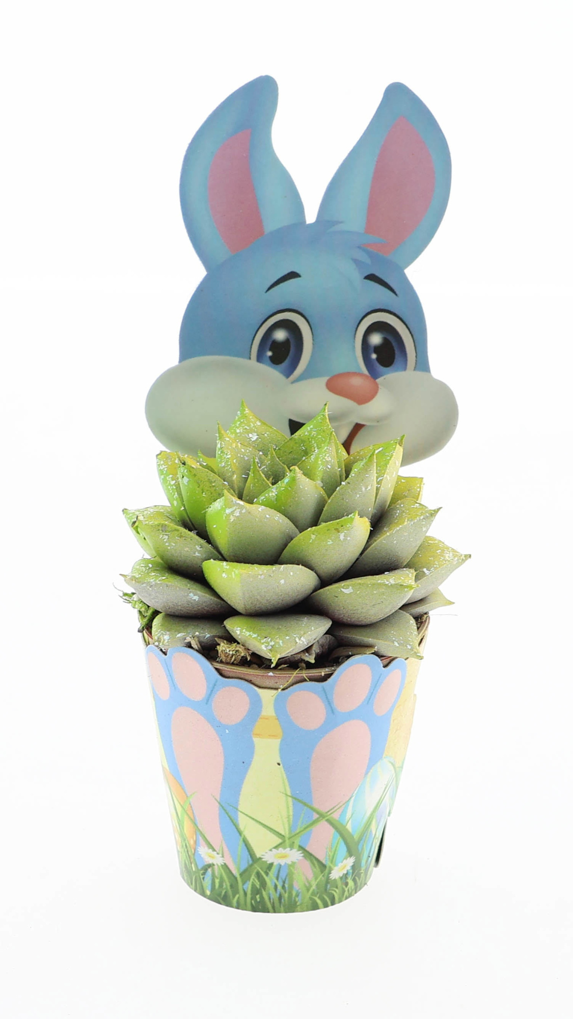 Potcover paashaas purper easter multi glittermix, D 5,5