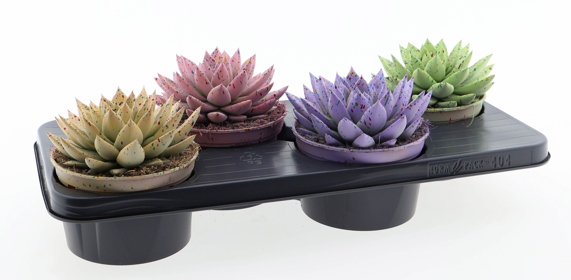 Easter sprinkle mix, D 15