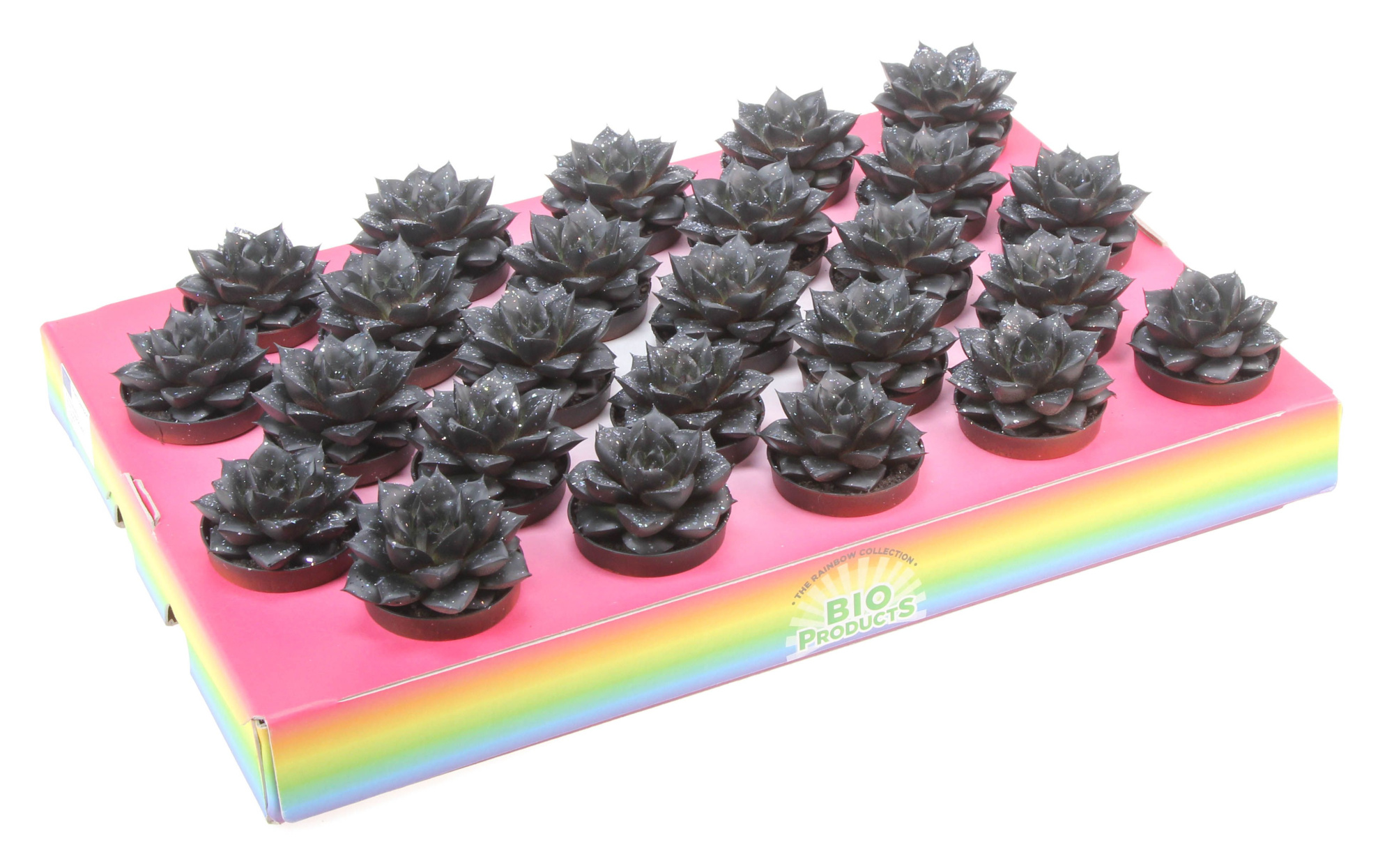 Bio purper black glitter, D 5,5