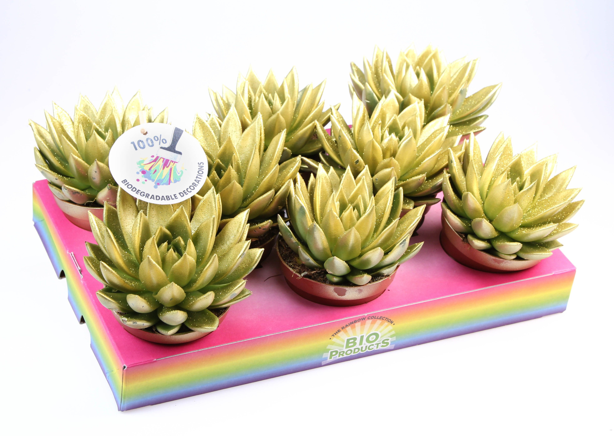 Bio miranda gold glitter, D 10,5