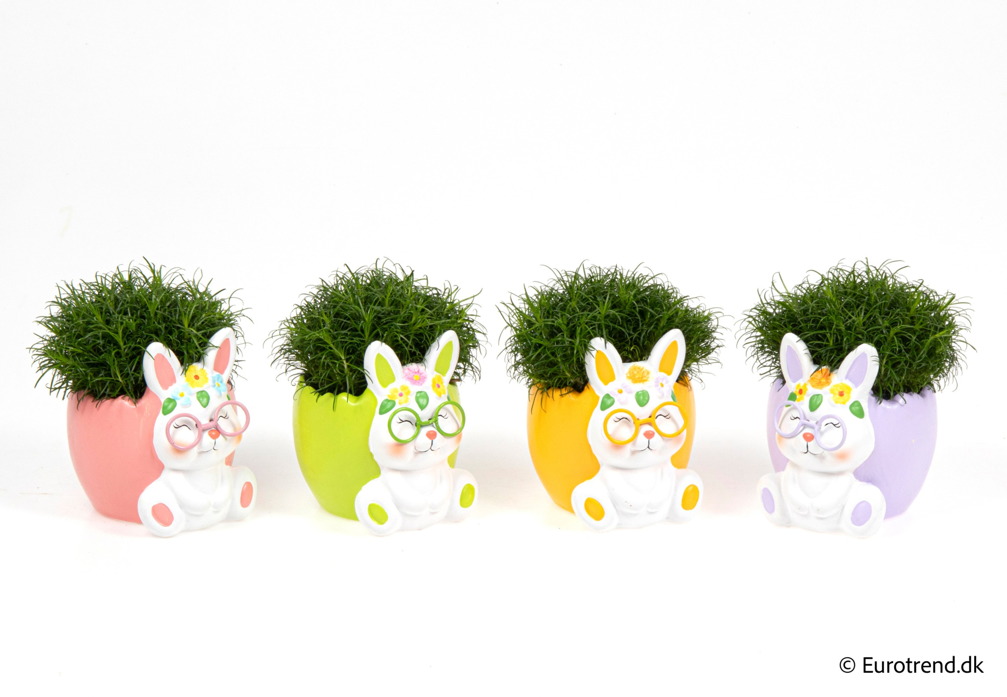 Sagina in Easter ceramic 2026, D 6