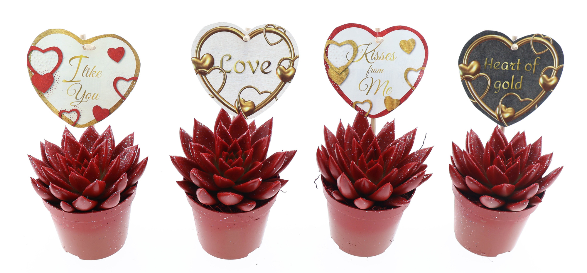 Miranda rood glitter + love etiket, D 8,5