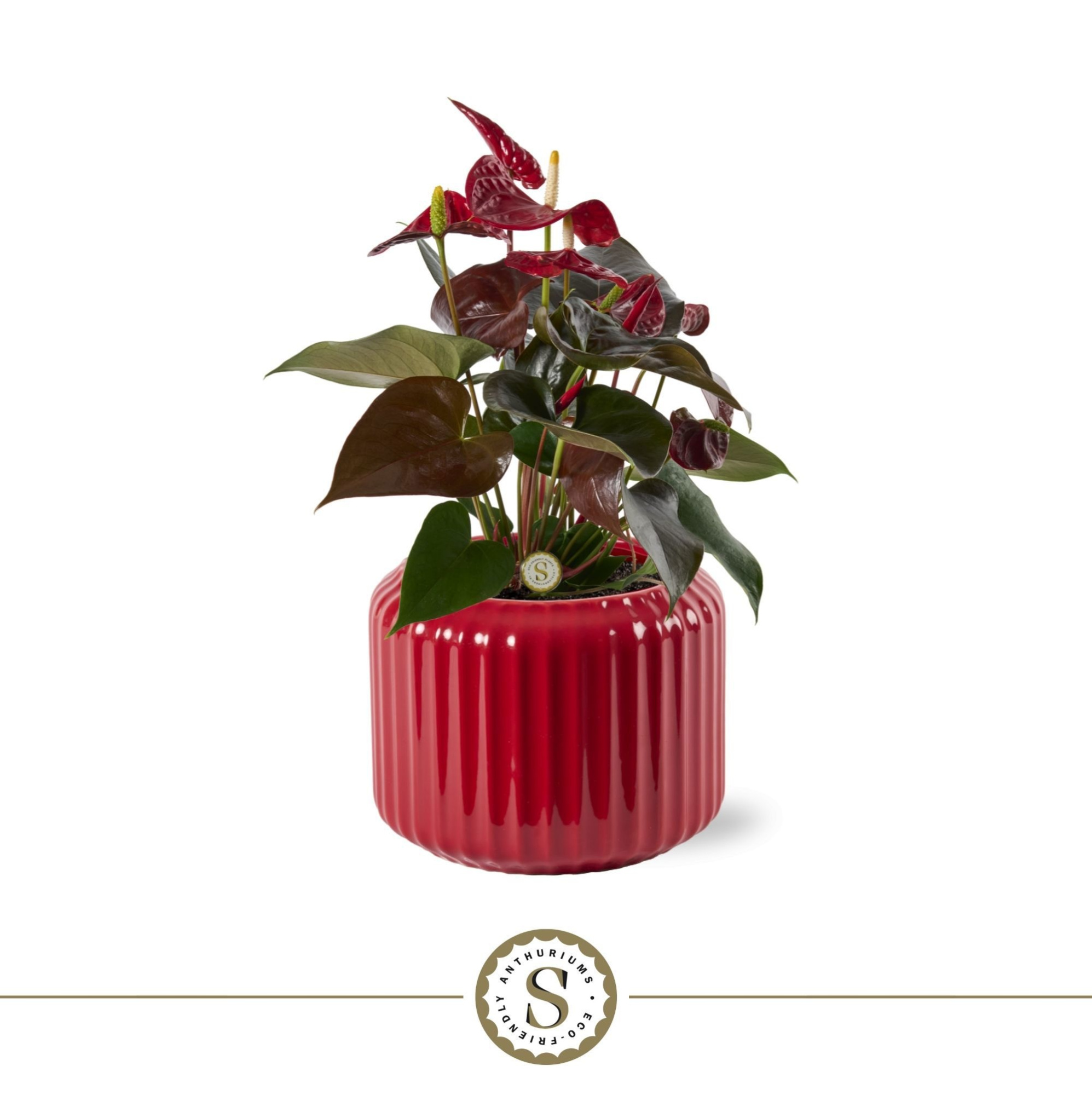 Bologna Keramiek Red - Coral, D 12