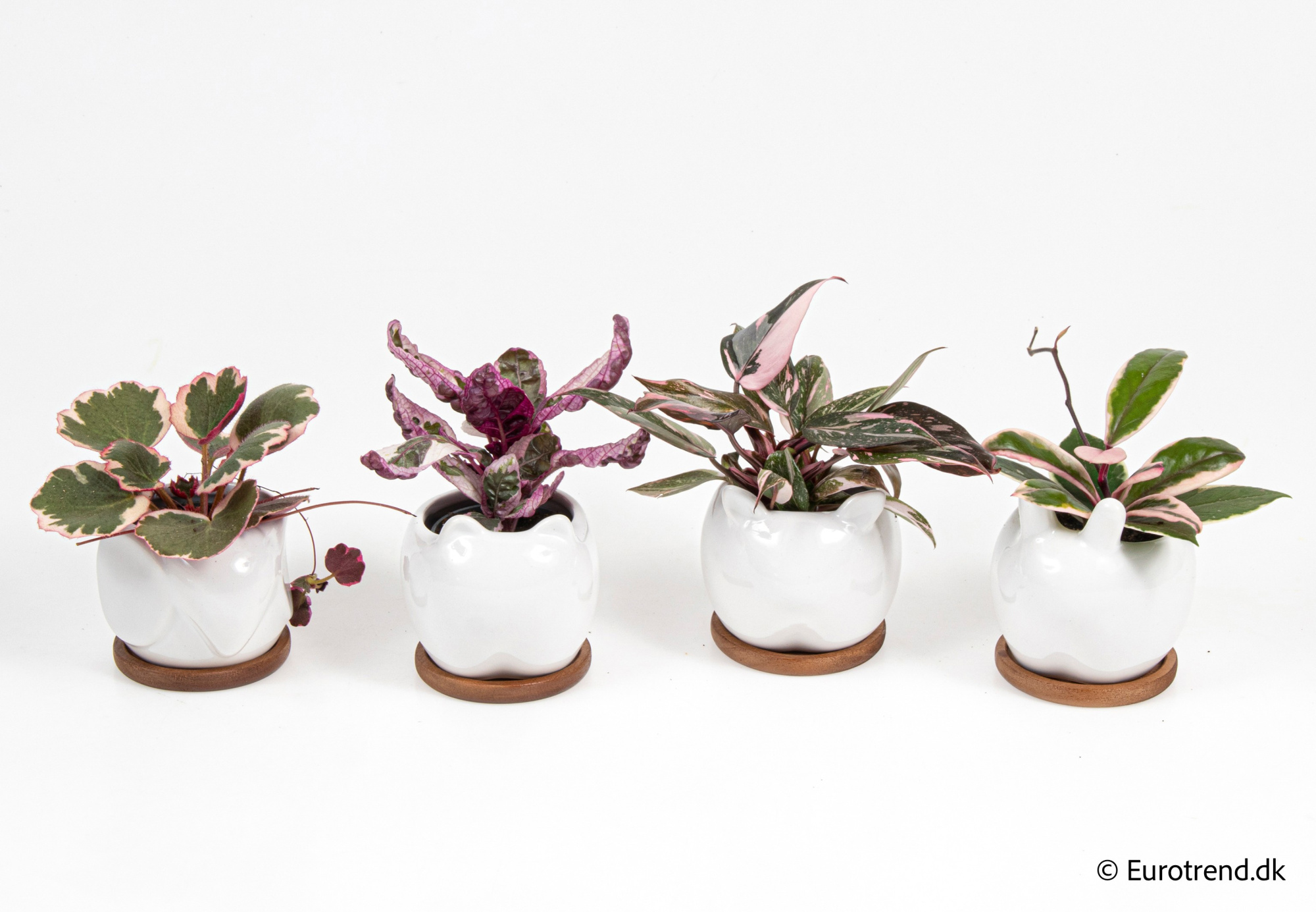 Green mix in New Look ceramic 2026, D 6