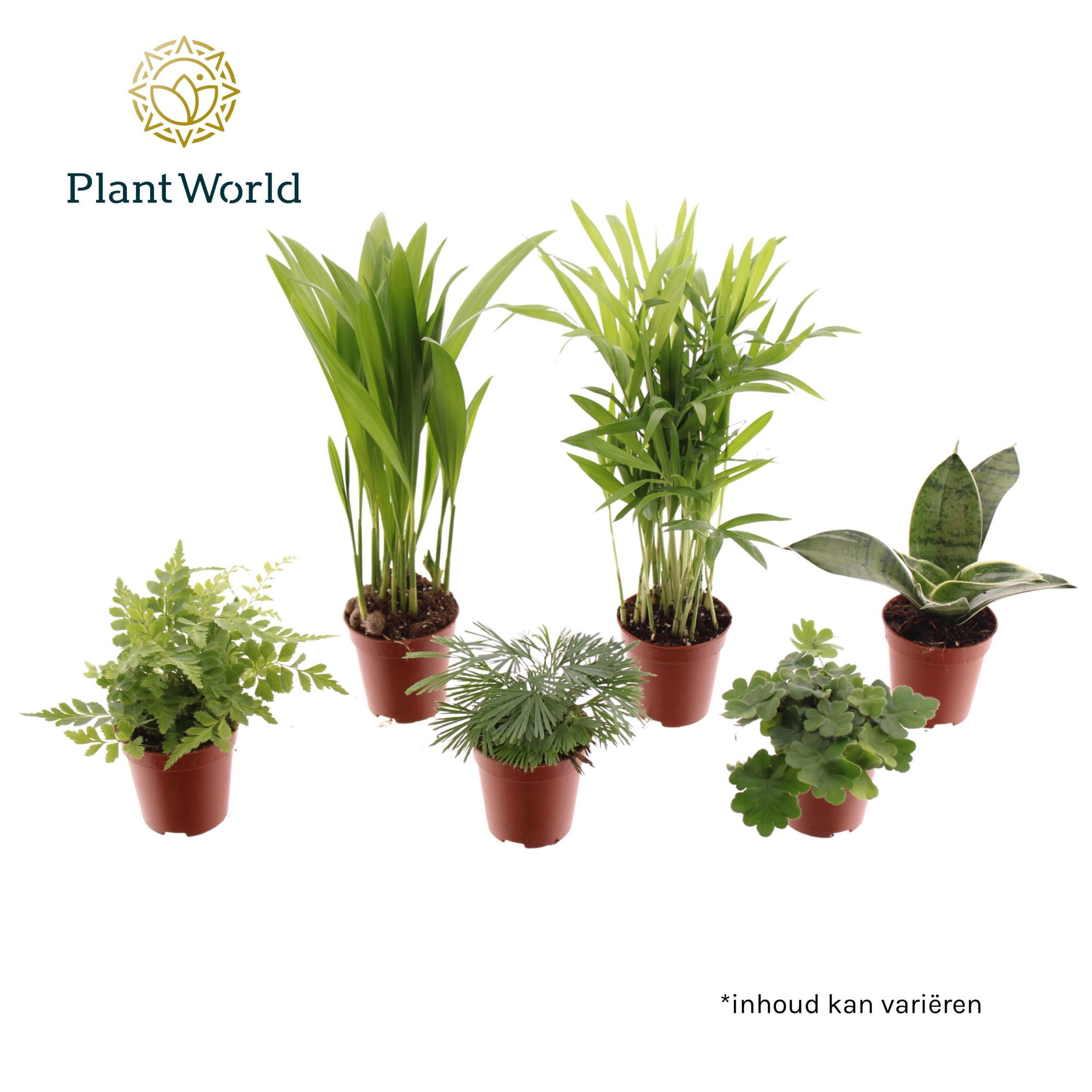 Tiny Happy Family Comfort mix 5-6 soorten, D 5,5