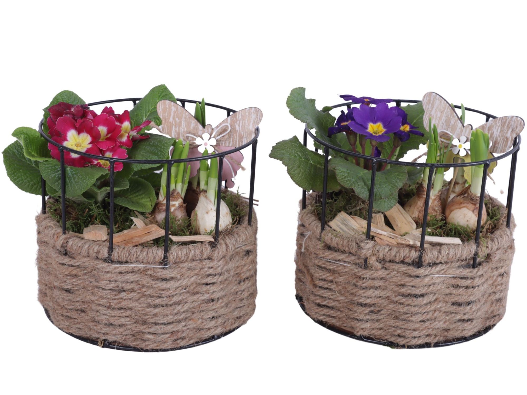 Early Spring Arr. Outdoor Metal Frame Rope Pot Round Ø17cm 2PP, D 17