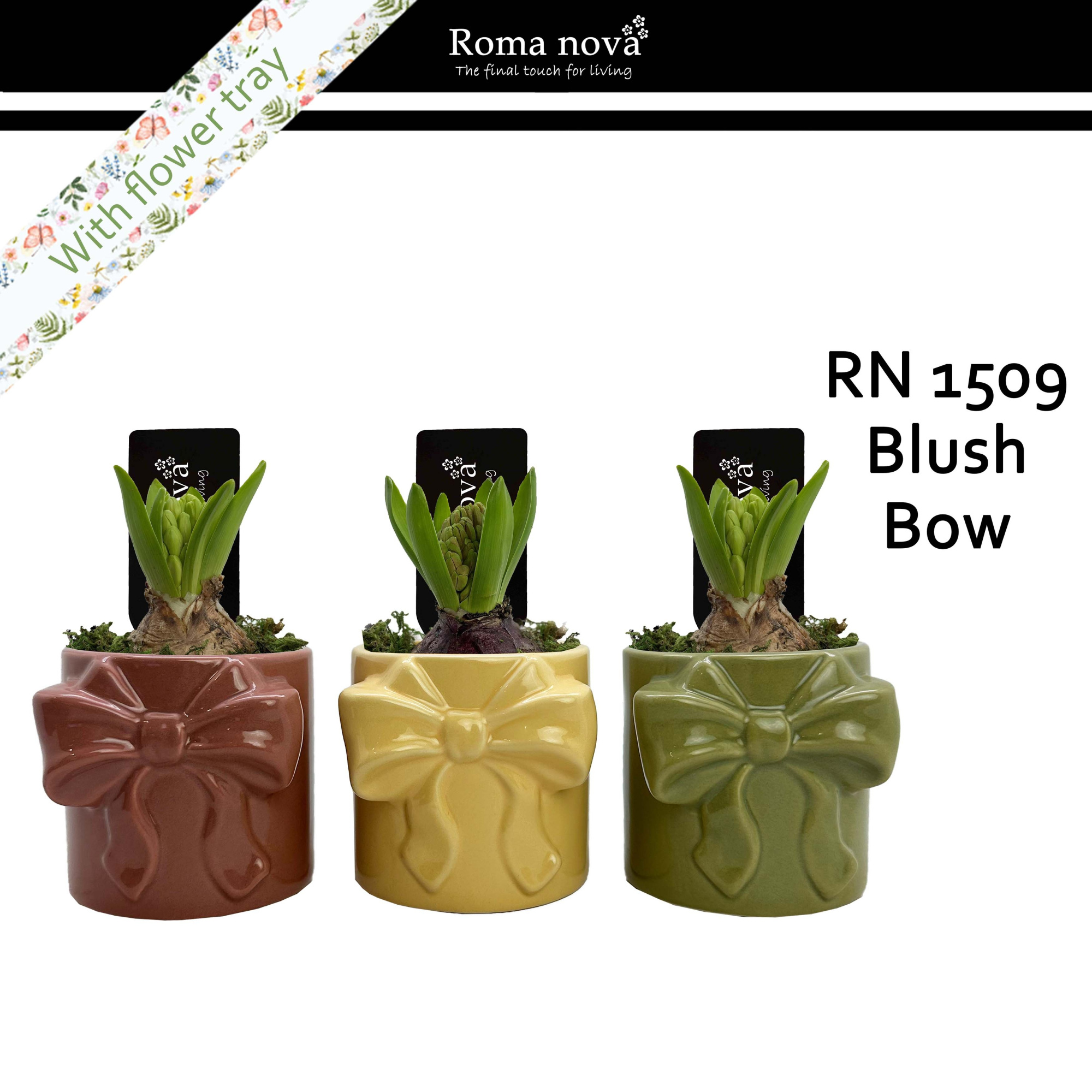 1509 - Blush Bow (Hyacint), D 9