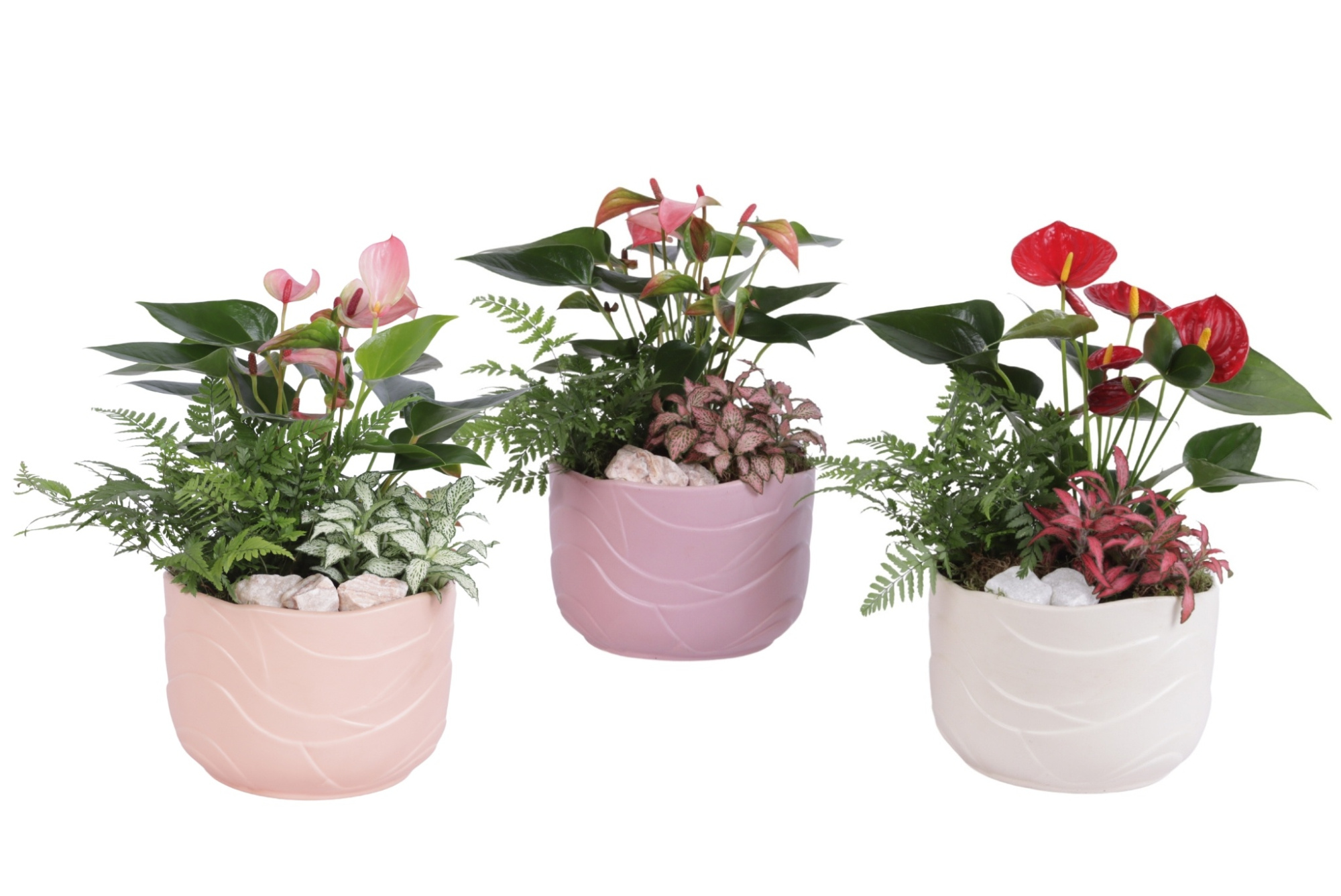 Yearround Arr. Indoor Ceramic Soft Elegance SE660 Ø20cm 3PP, D 20