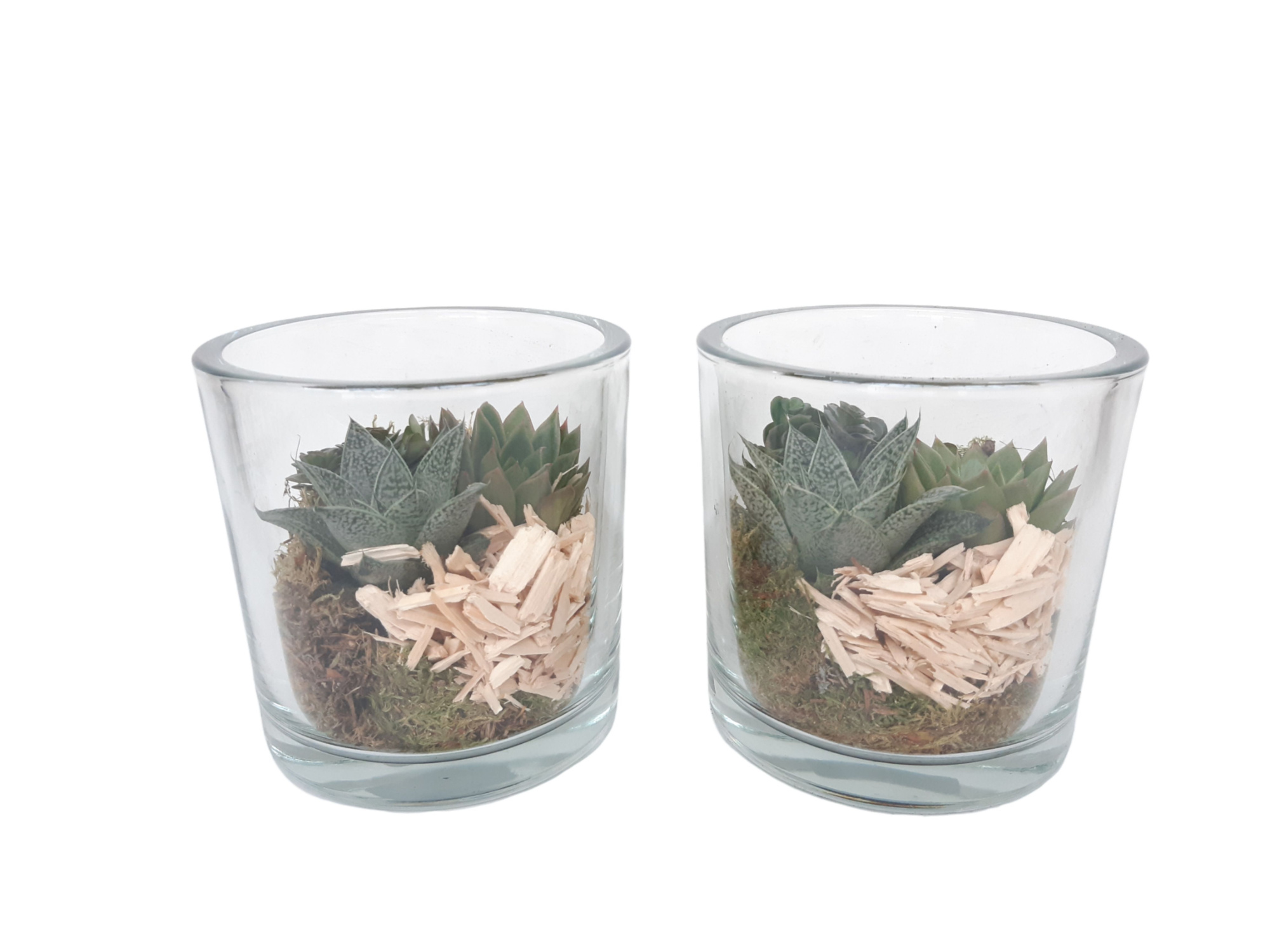 GCI14AUT Cil glas dik mini groenmix Autumn, D 14