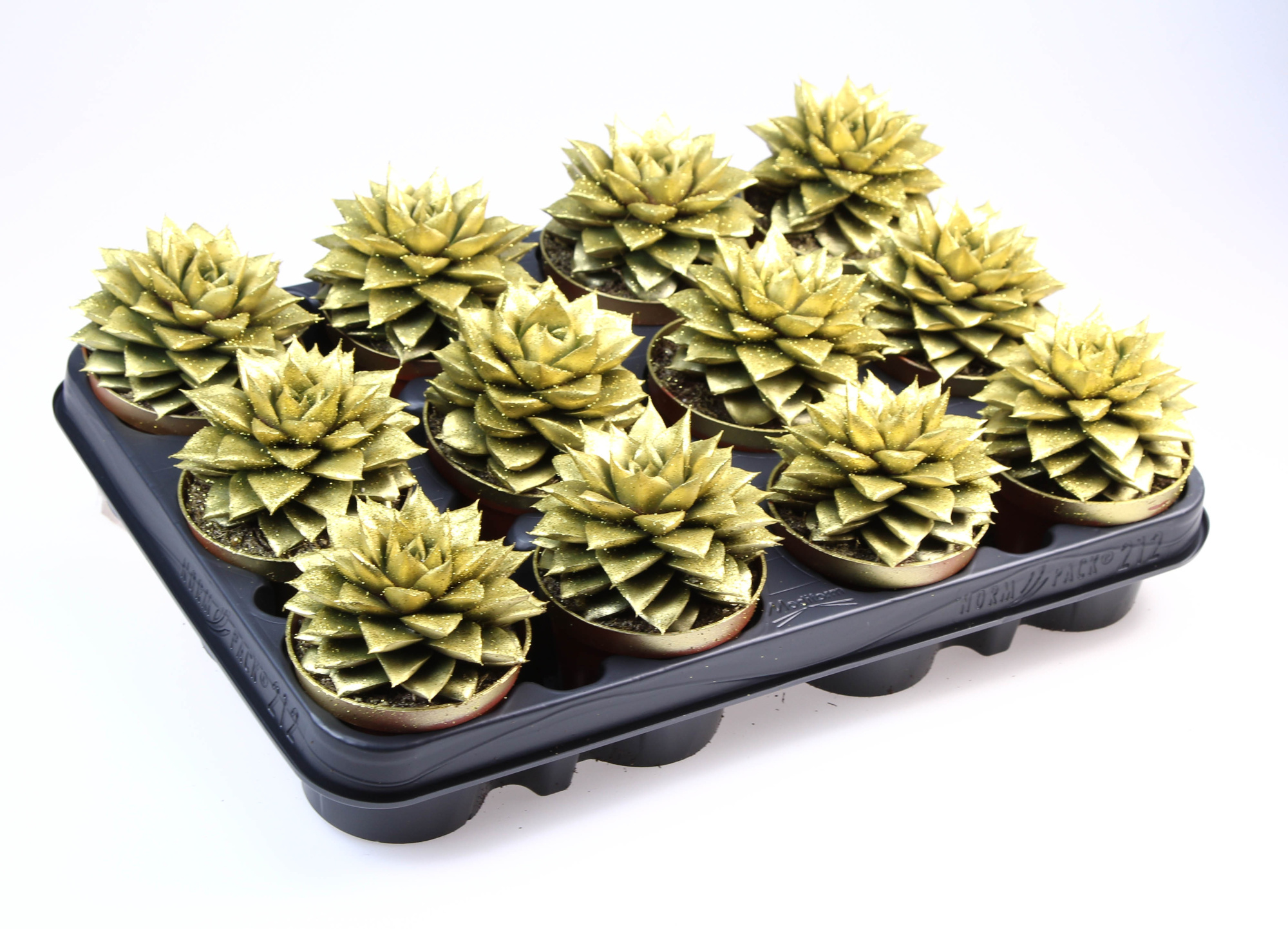 Purper goud + bio glitter, D 8,5