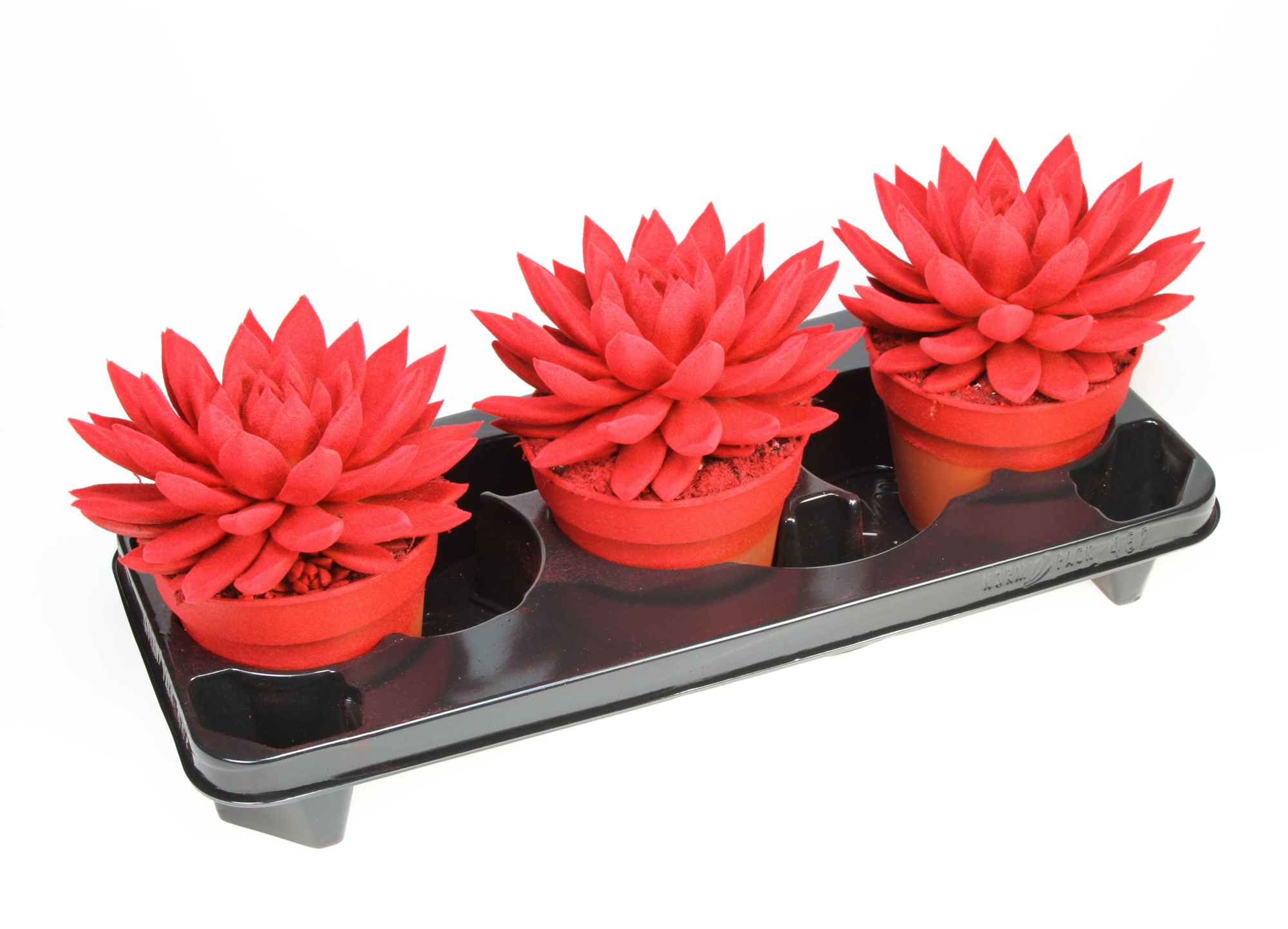 Miranda velvet red, D 15