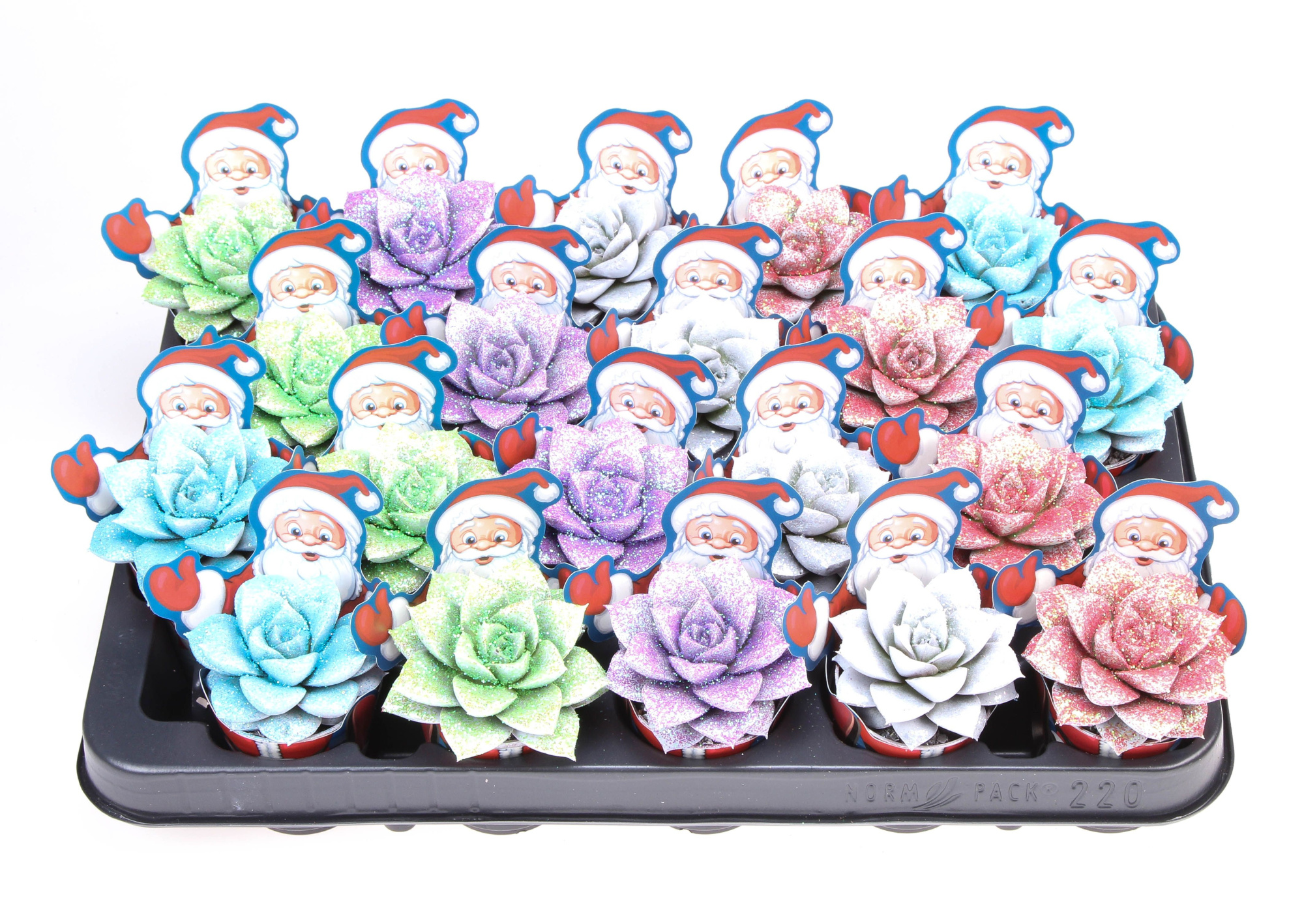 Potcover santaclaus purper wit+glitter, D 5,5