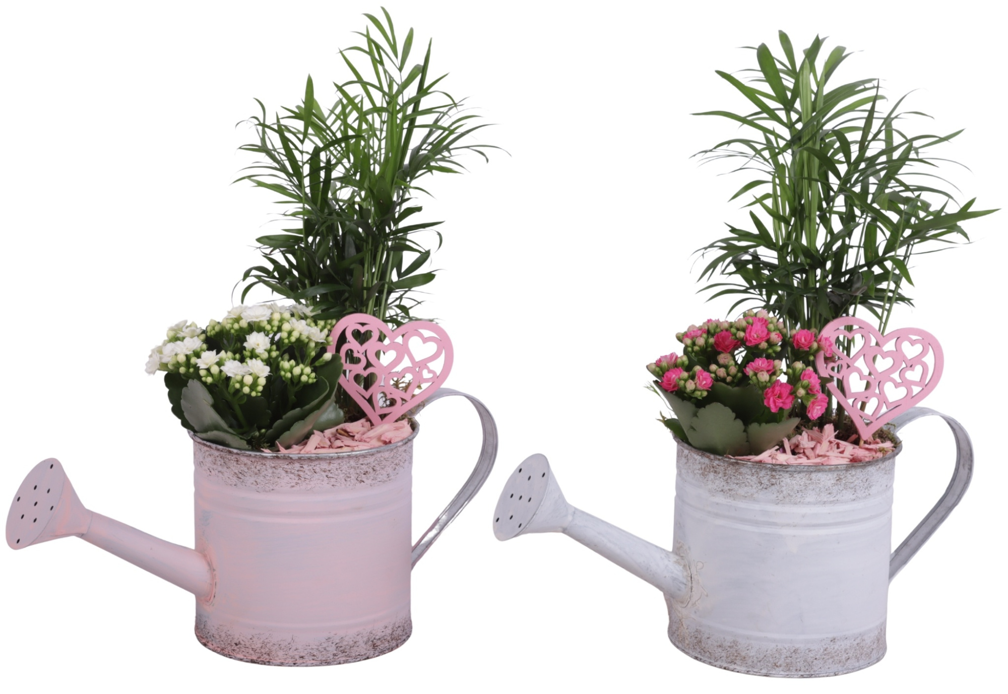 Mothersday Arr. Indoor Zinc WateringCan Vintage Ø36cm 2PP, D 36