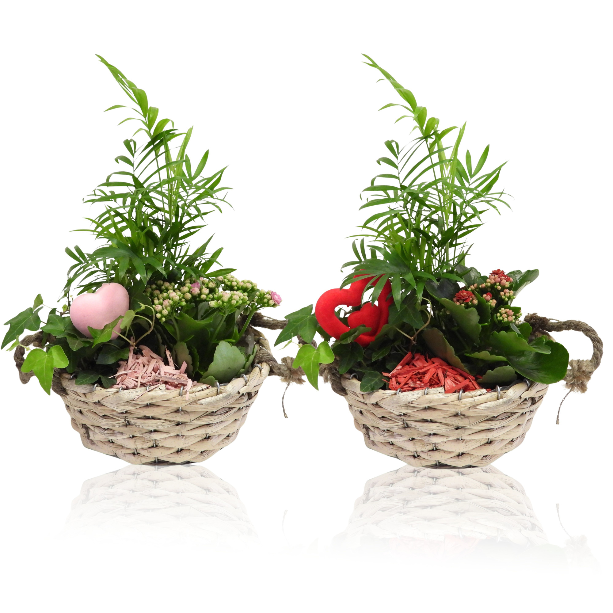 Love Specials Arrangement Mand Ovaal 24 cm, D 24