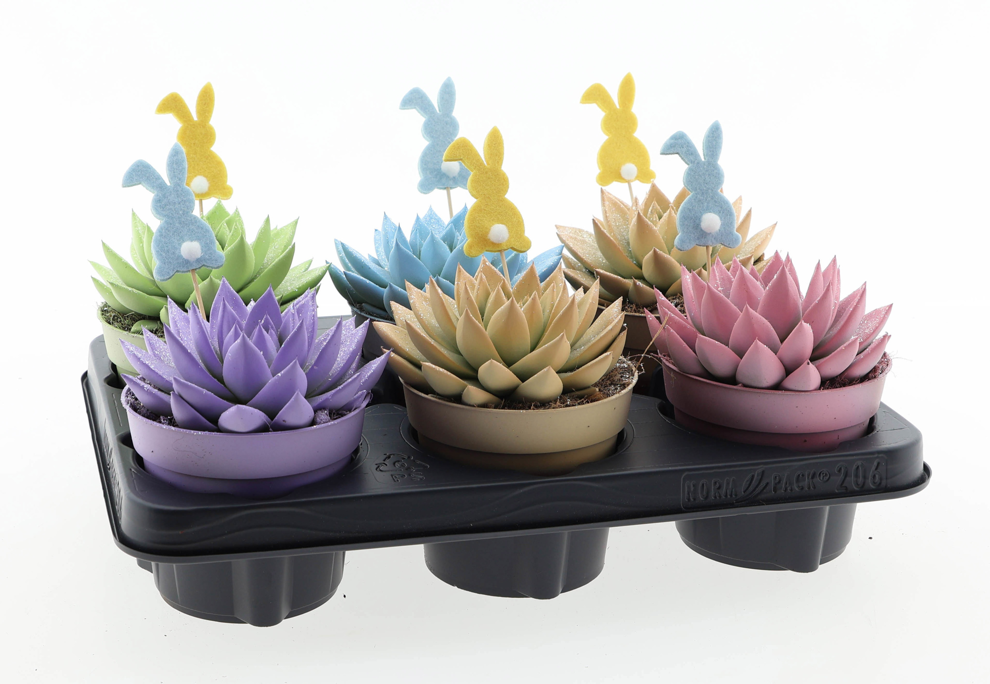 Miranda pastel glittermix + bunny, D 12