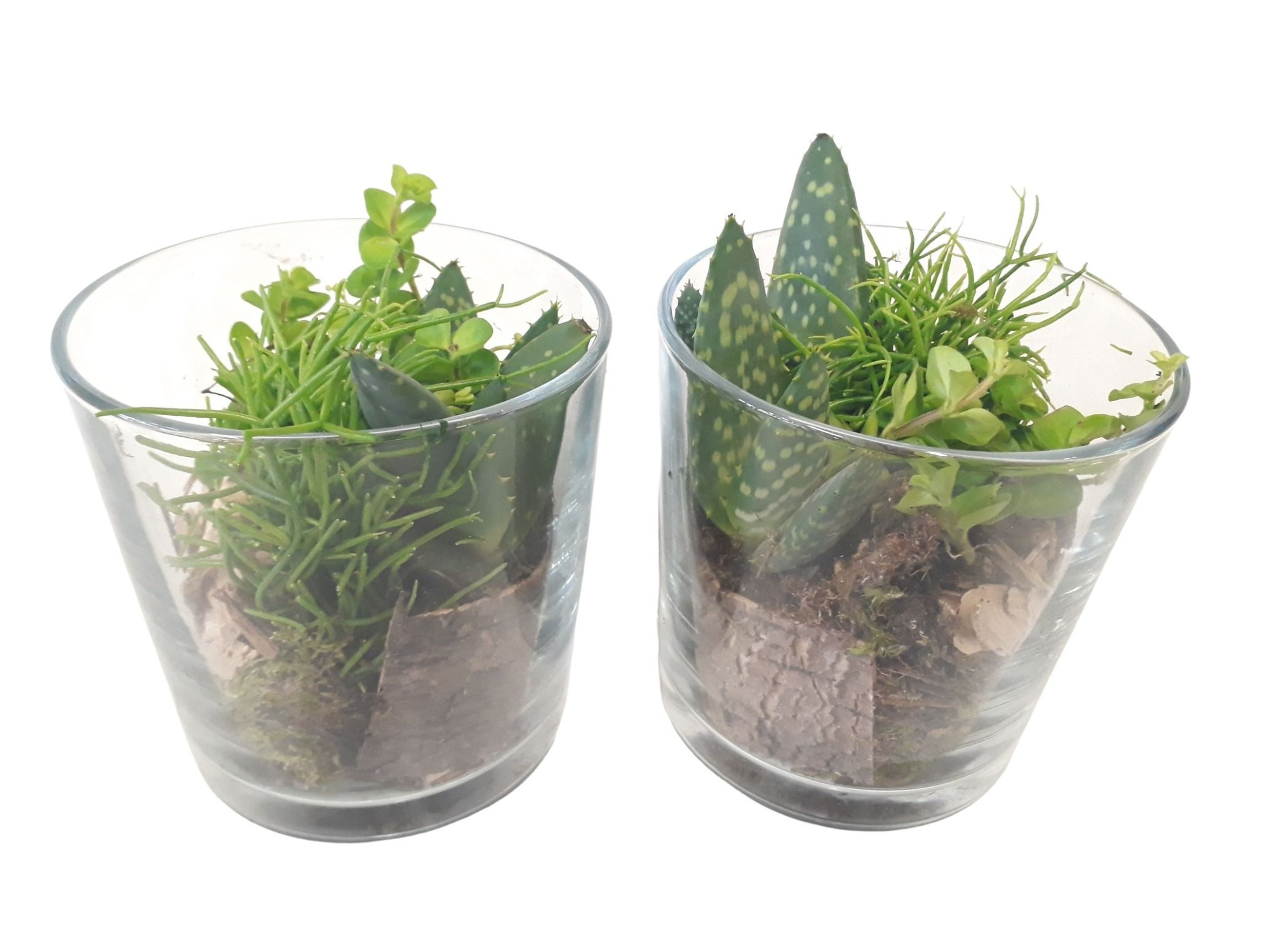 933 GMX Cil glas mini groenmix + houtdeco, D 13