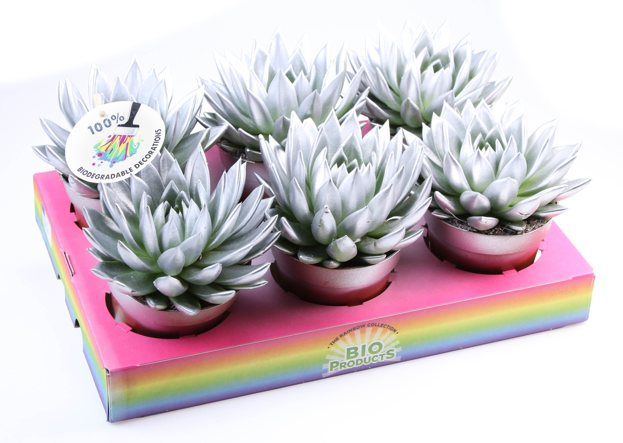 Bio miranda rainbow silver, D 12