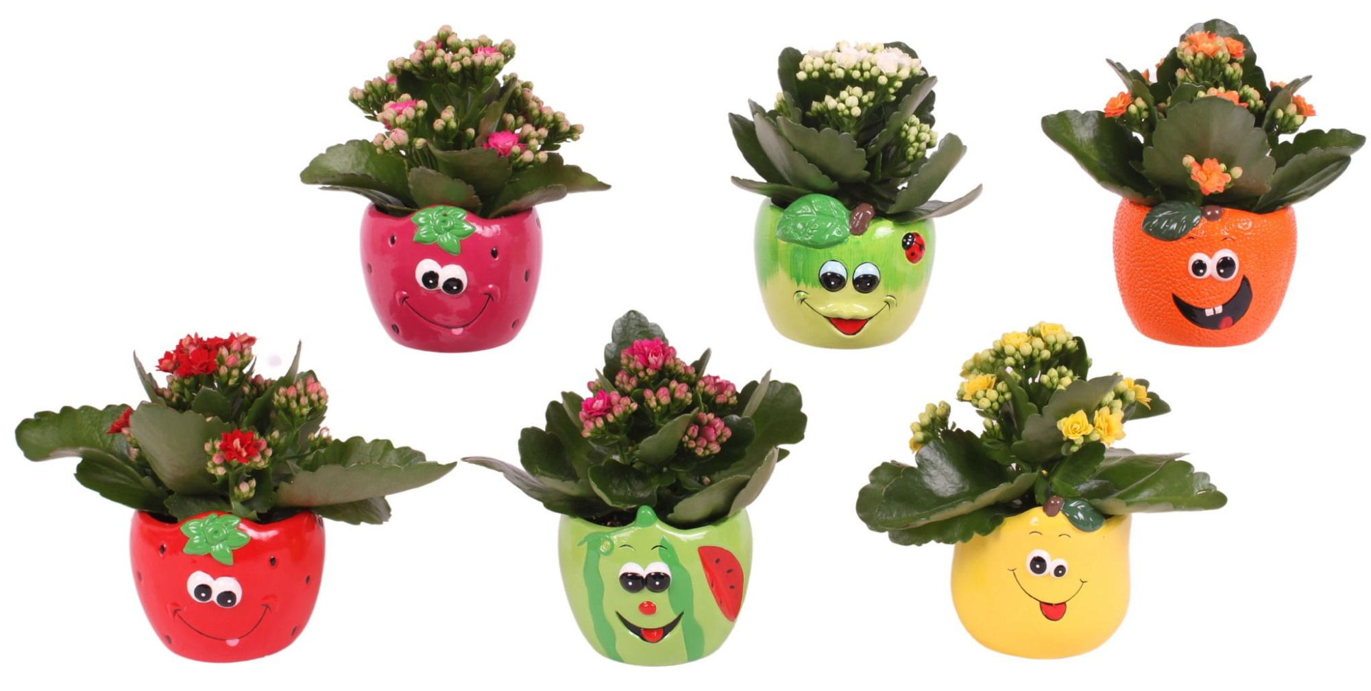 Yearround Arr. Indoor Ceramic Round Fruit Face Mix Ø09cm, D 9