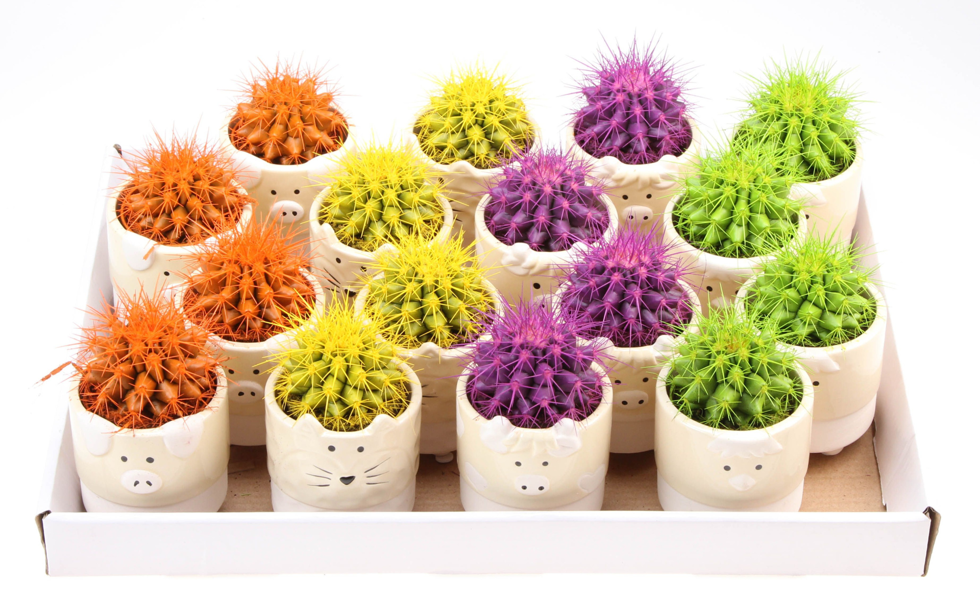 Grusonii rainbow dierenpot, D 7