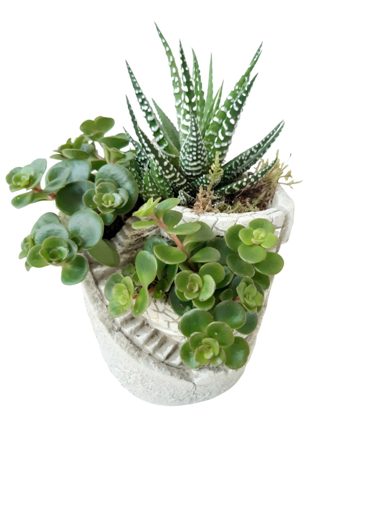 NEW 2026 MGP9 Mini Garden Pot 9cm, D 9