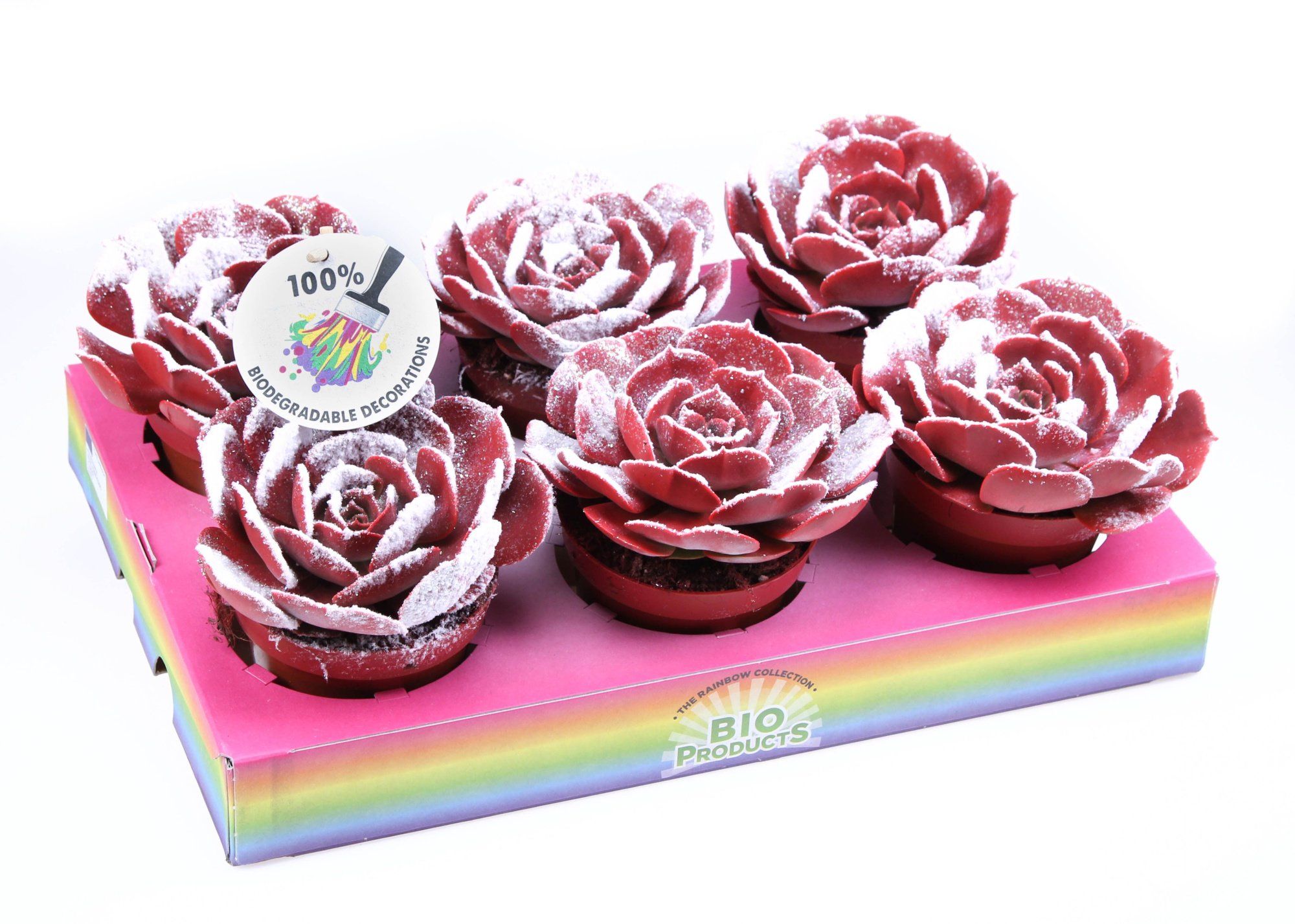 Pollux snowy + bio snow, D 10,5