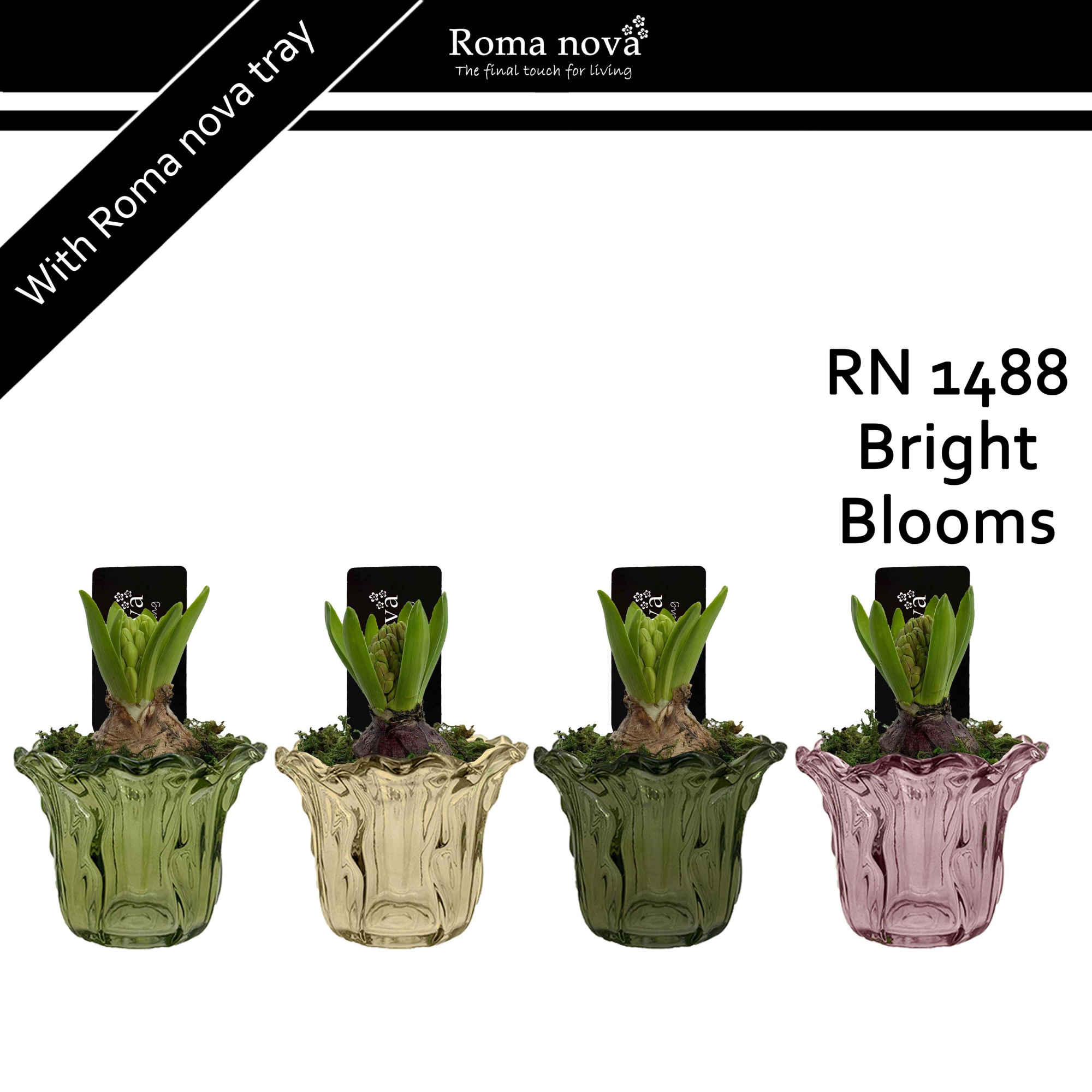 1488 - Bright Blooms (Hyacint 6cm), D 10