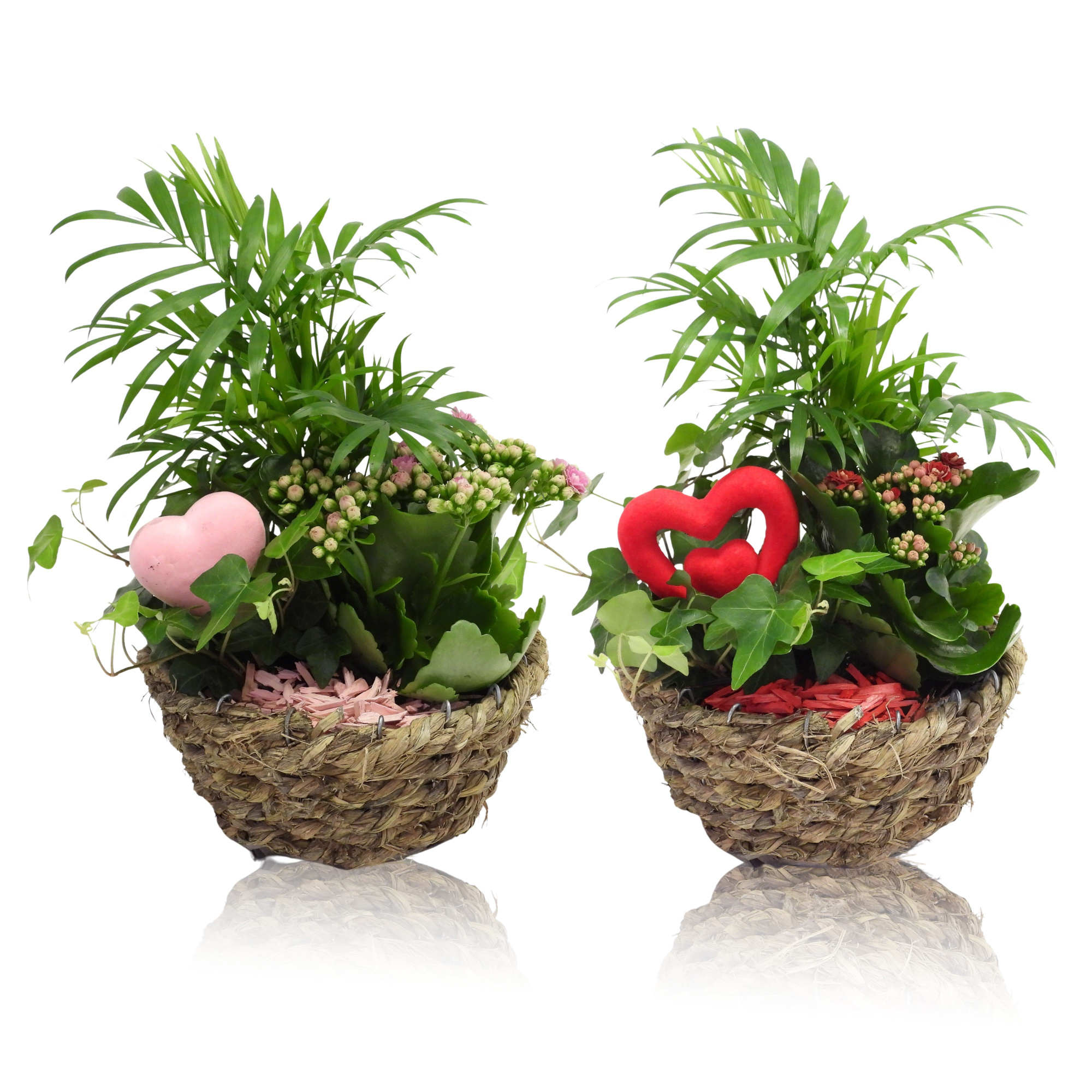 Love Specials Arrangement Mand 19 cm, D 19