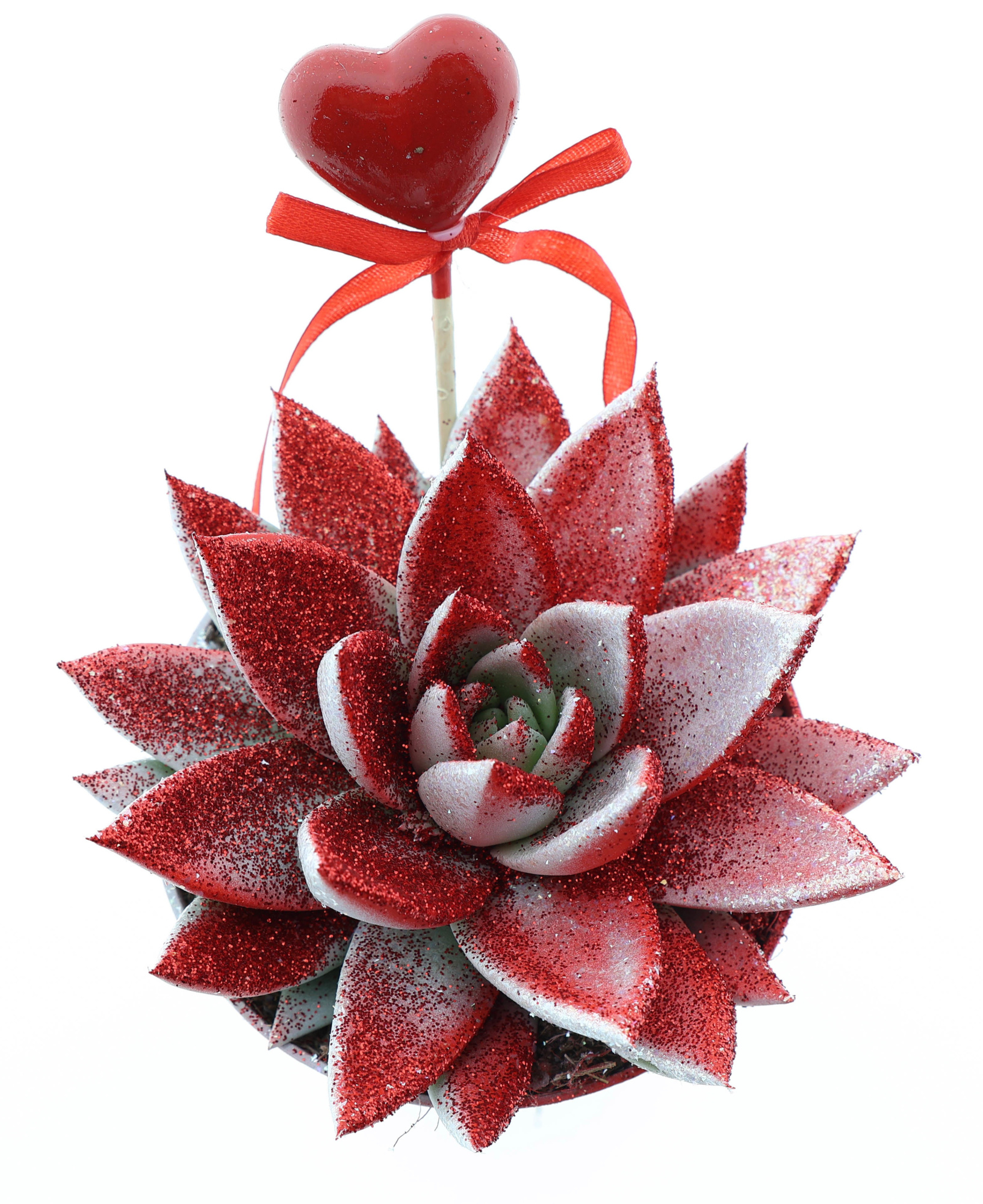 Miranda valentine rood/wit glitter + hartje, D 12