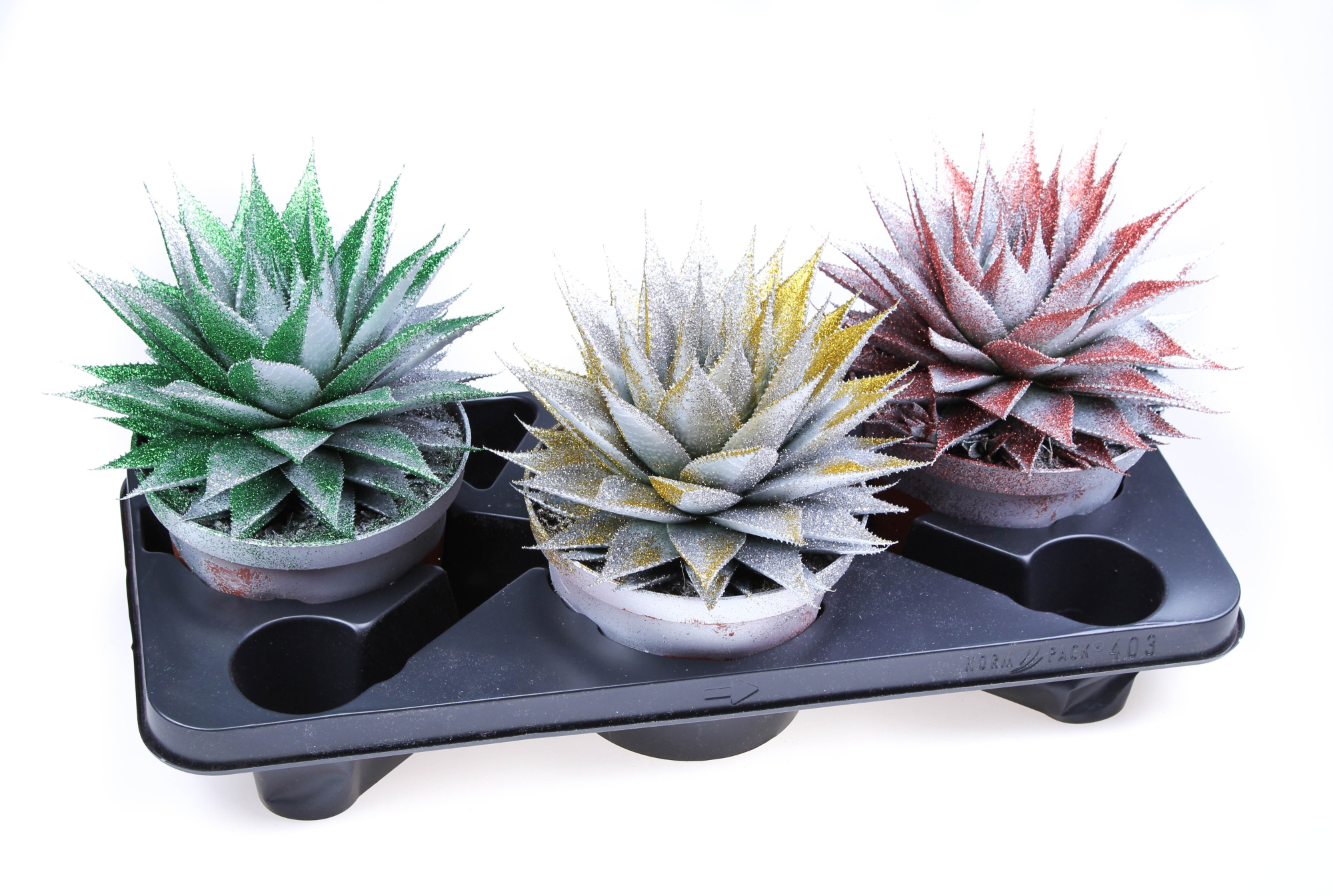 Aloe zilver + glitermix, D 17