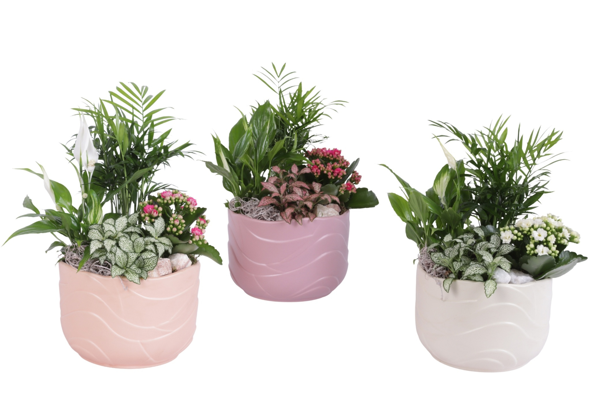 Yearround Arr. Indoor Ceramic Soft Elegance SE660 Ø20cm 4PP, D 20