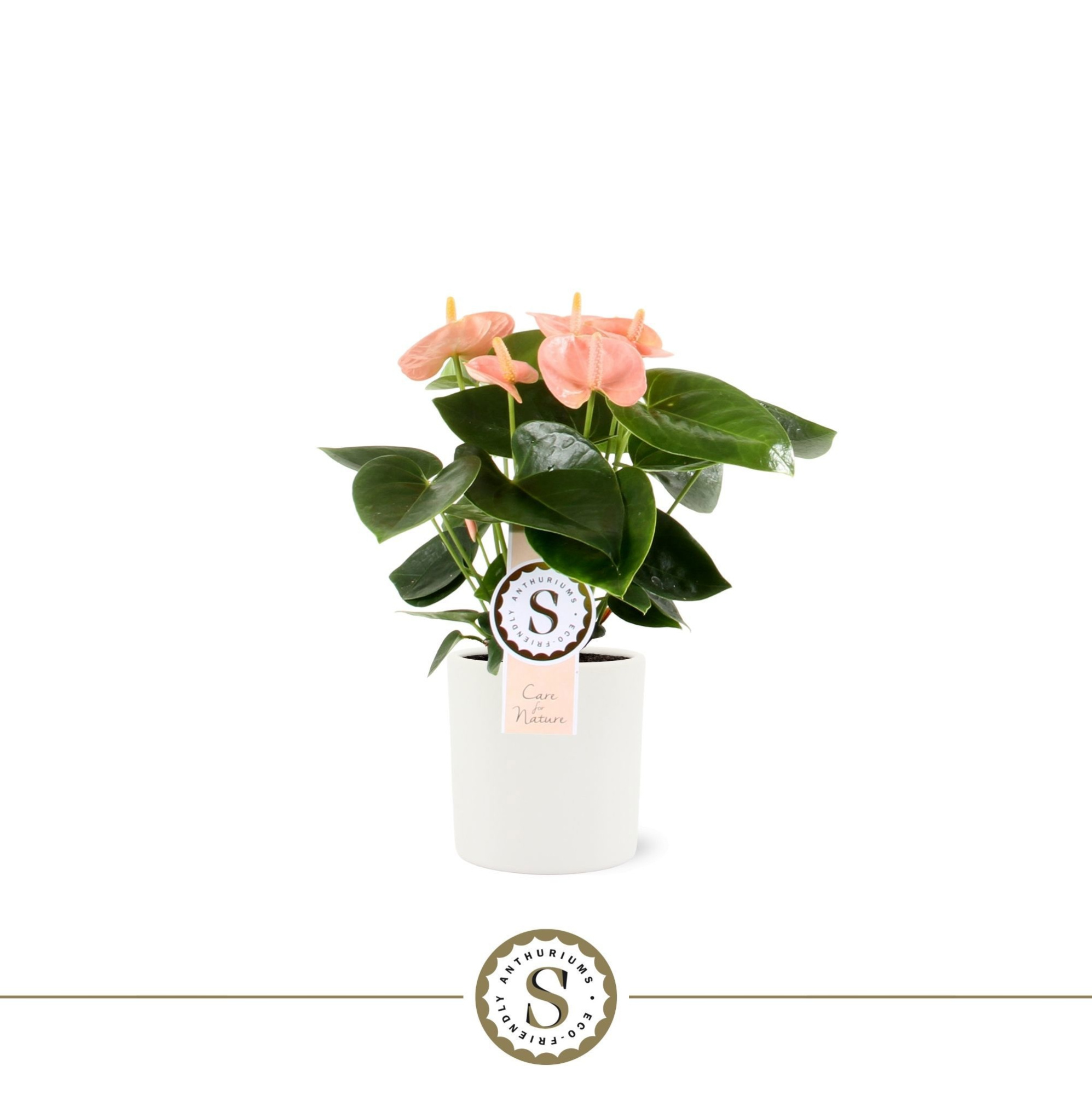 Bari keramiek 9cm Spirit, D 9