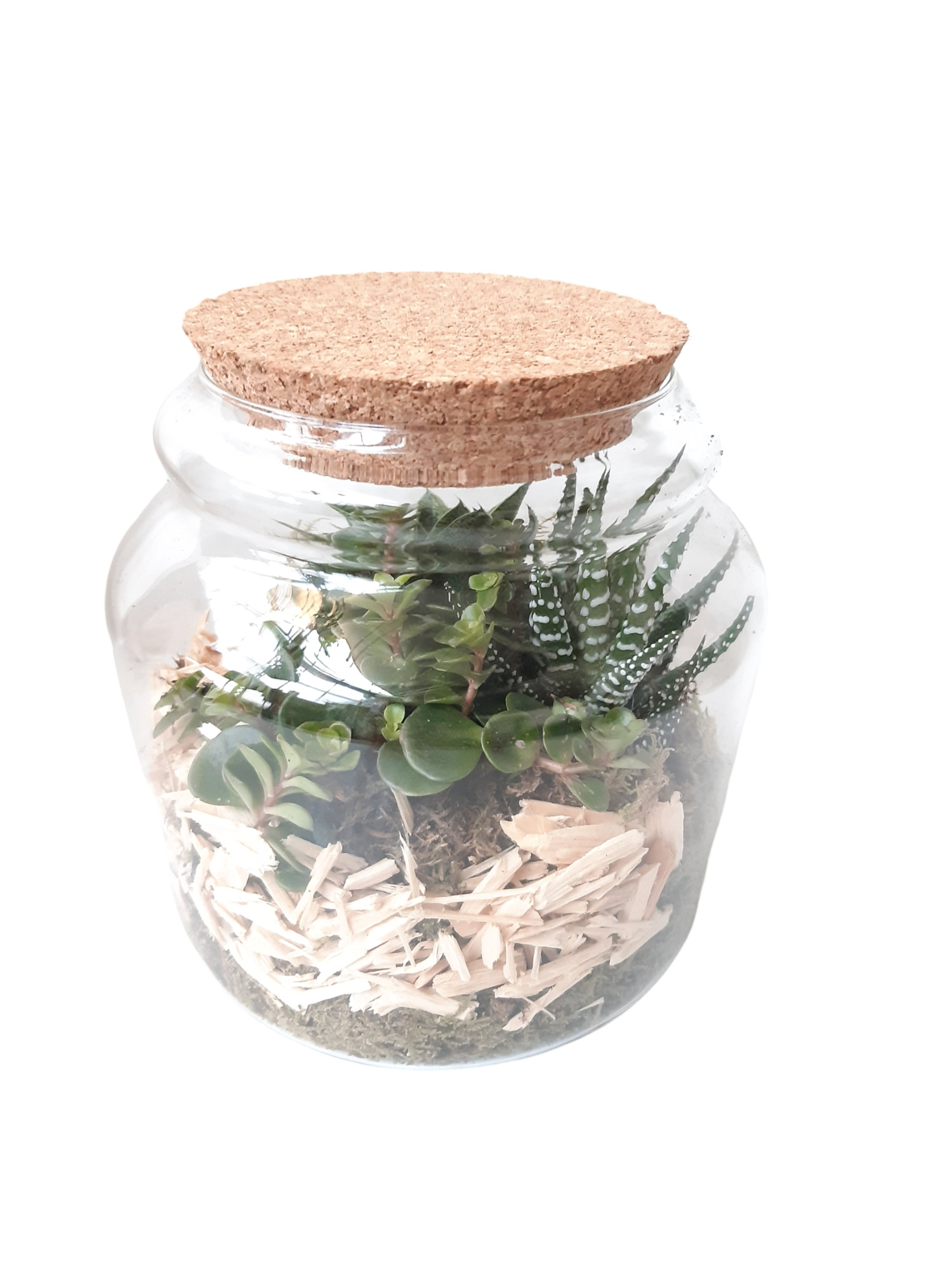 GKS17 Glass bowl + Kurk H20 Mini Groenmix, D 17