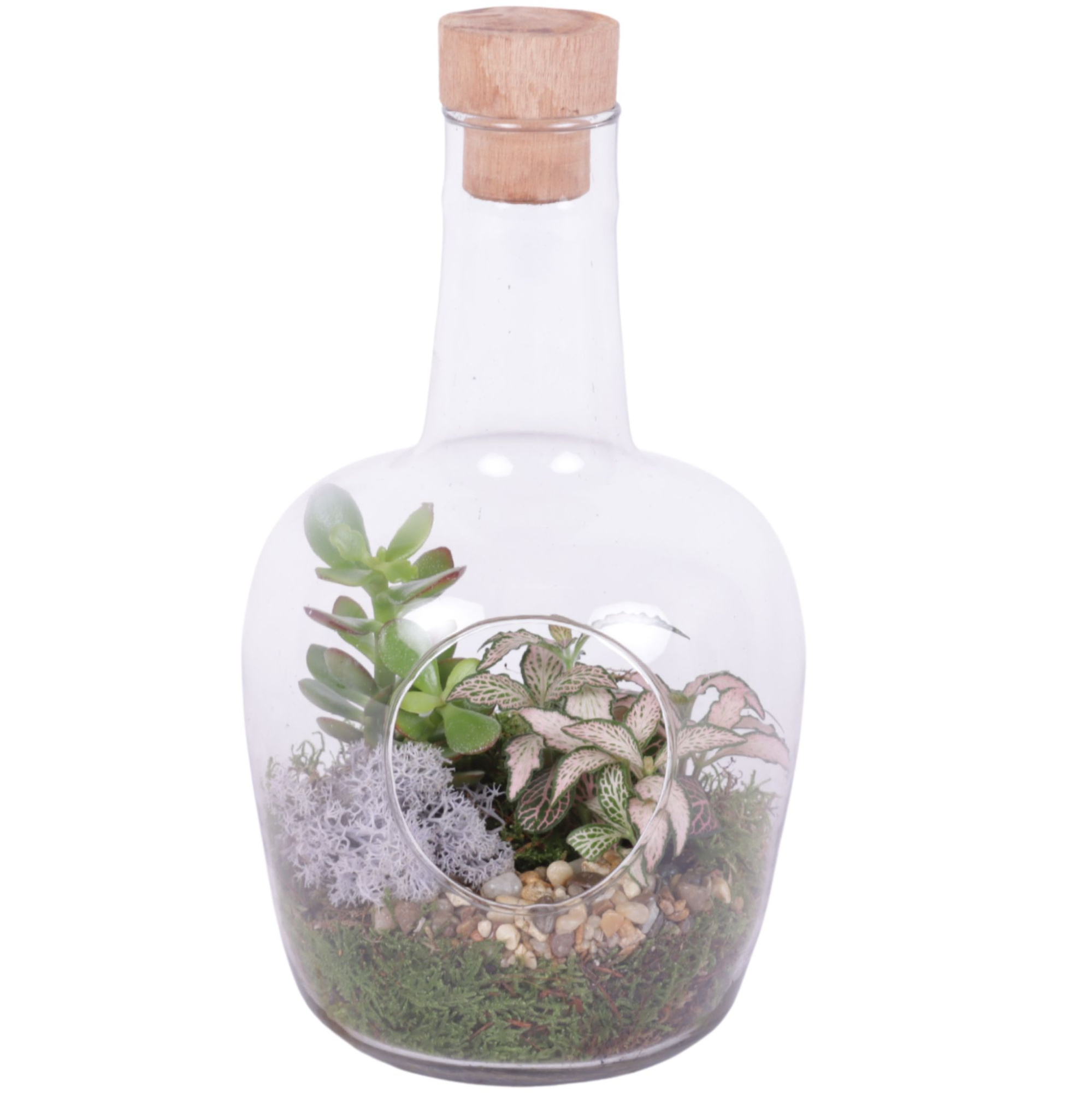 Yearround Arr. Indoor Glass Vase with Hole Ø18cm 2PP, D 18