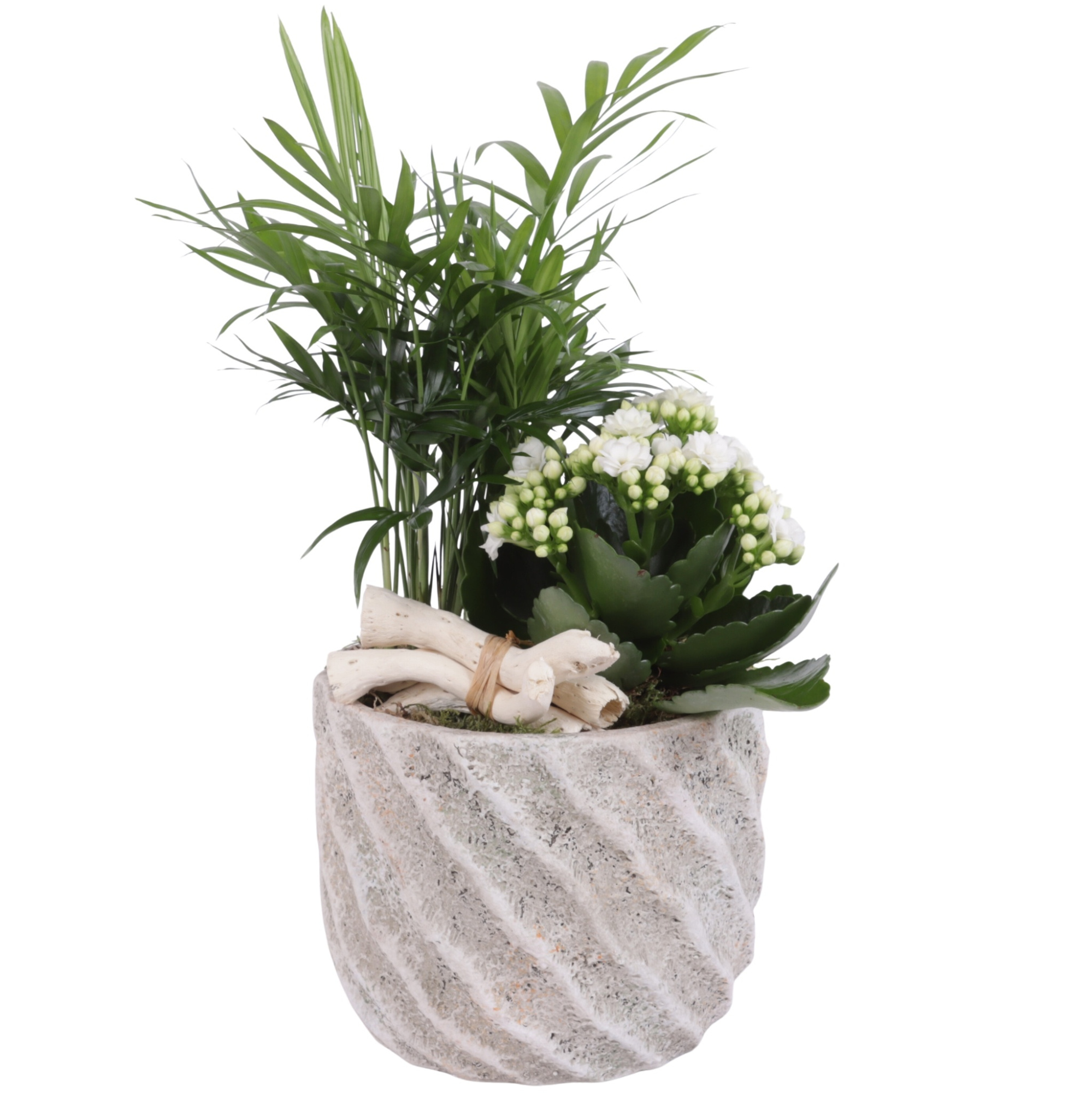 Yearround Arr. Indoor Ceramic Naturel Touch NT668 Ø15cm 2PP, D 15