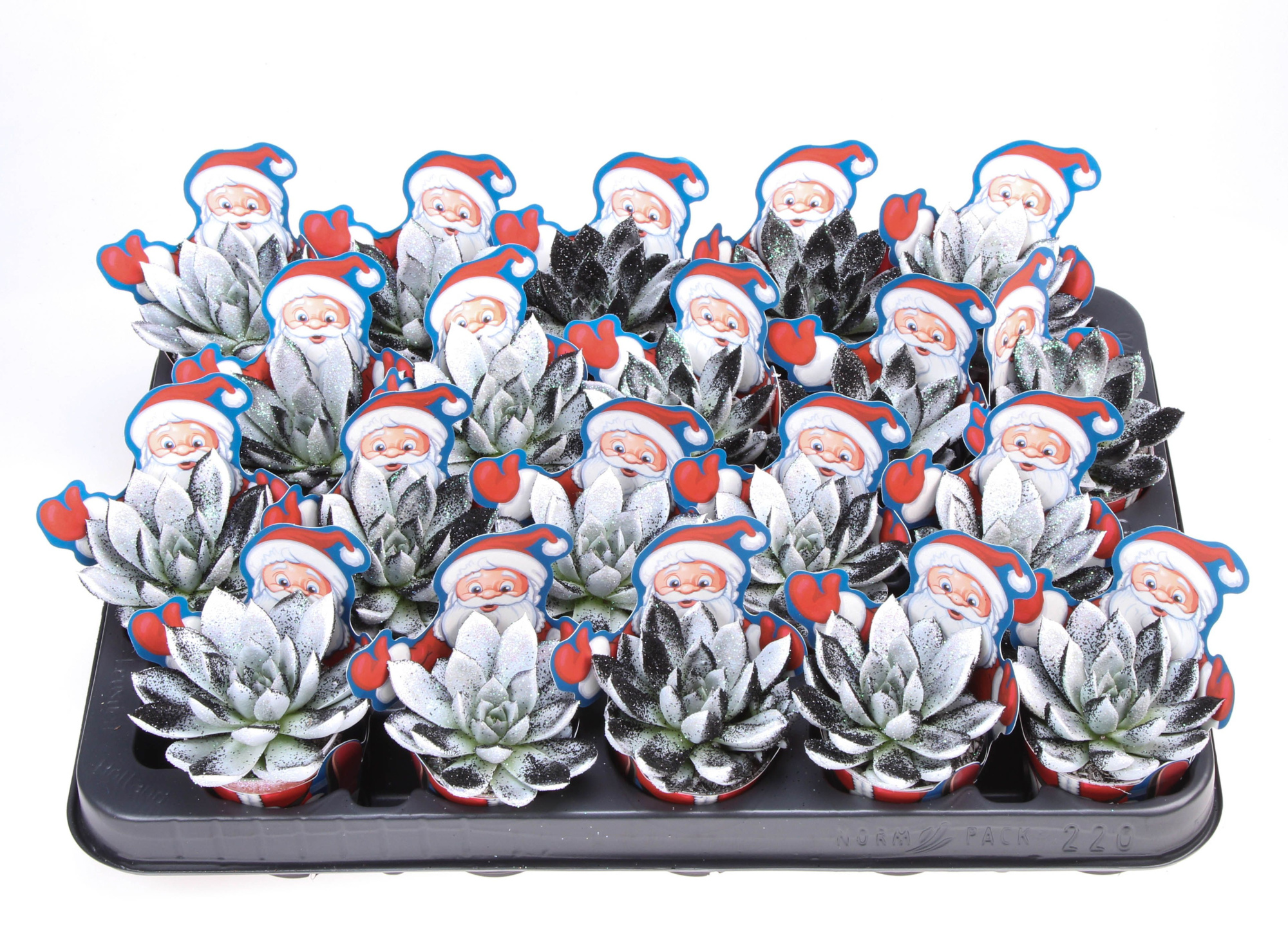 Potcover santaclaus miranda black&white + bio glitter, D 5,5