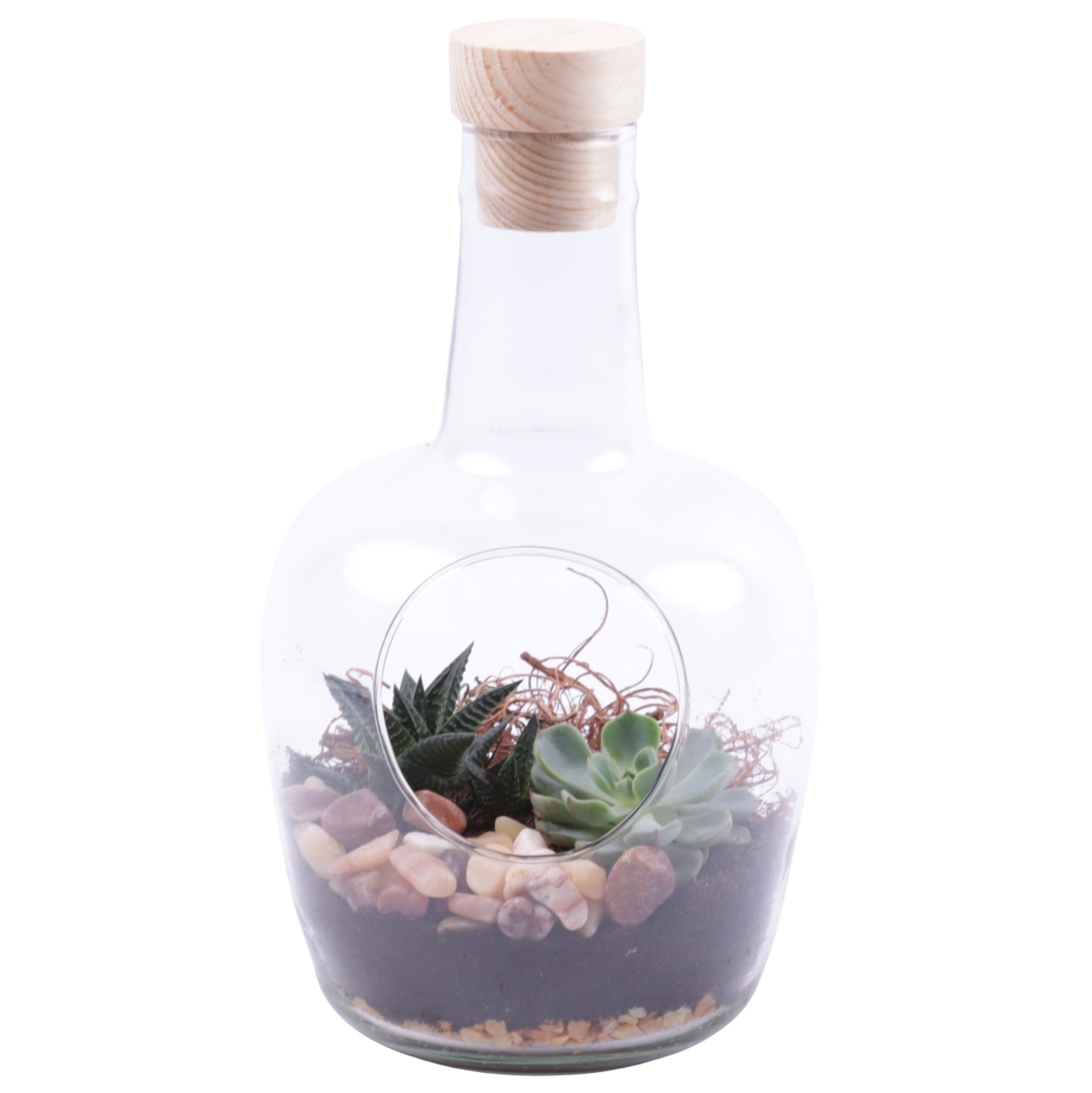 Yearround Arr. Succulent Glass Vase with Hole Ø15cm 2PP, D 15
