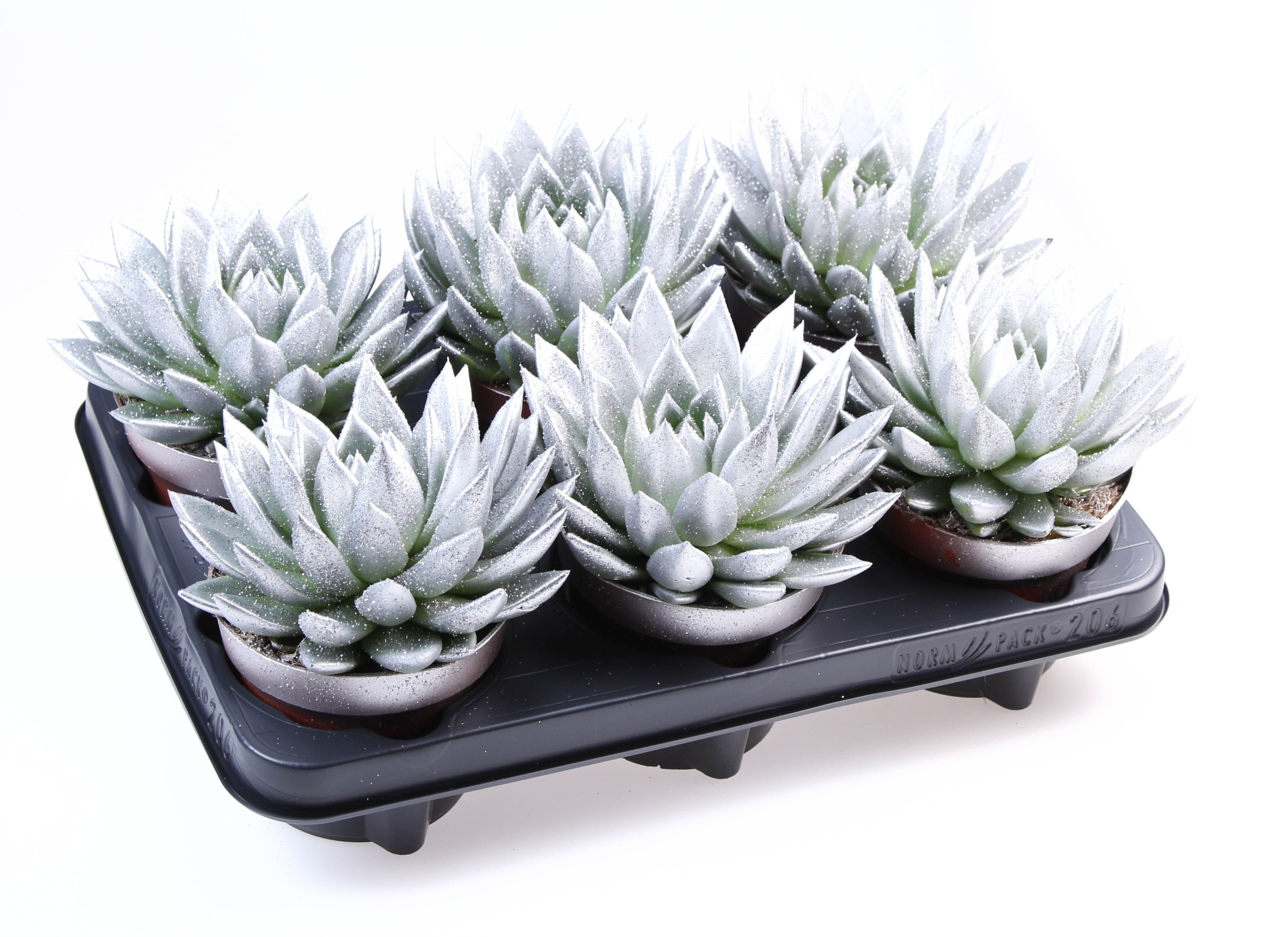 Miranda zilver + bio glitter, D 12