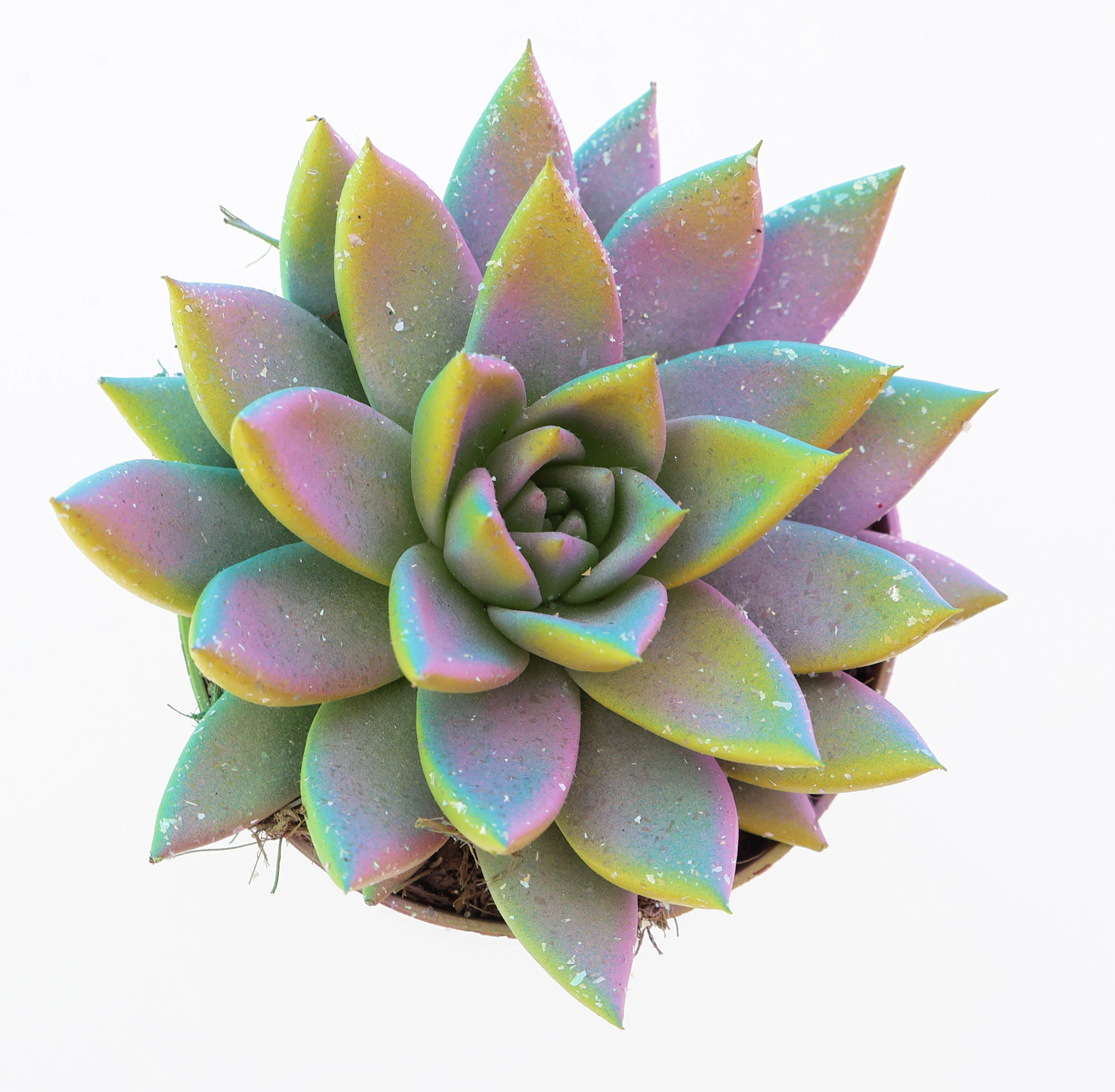 Miranda multi glitter mix, D 8,5