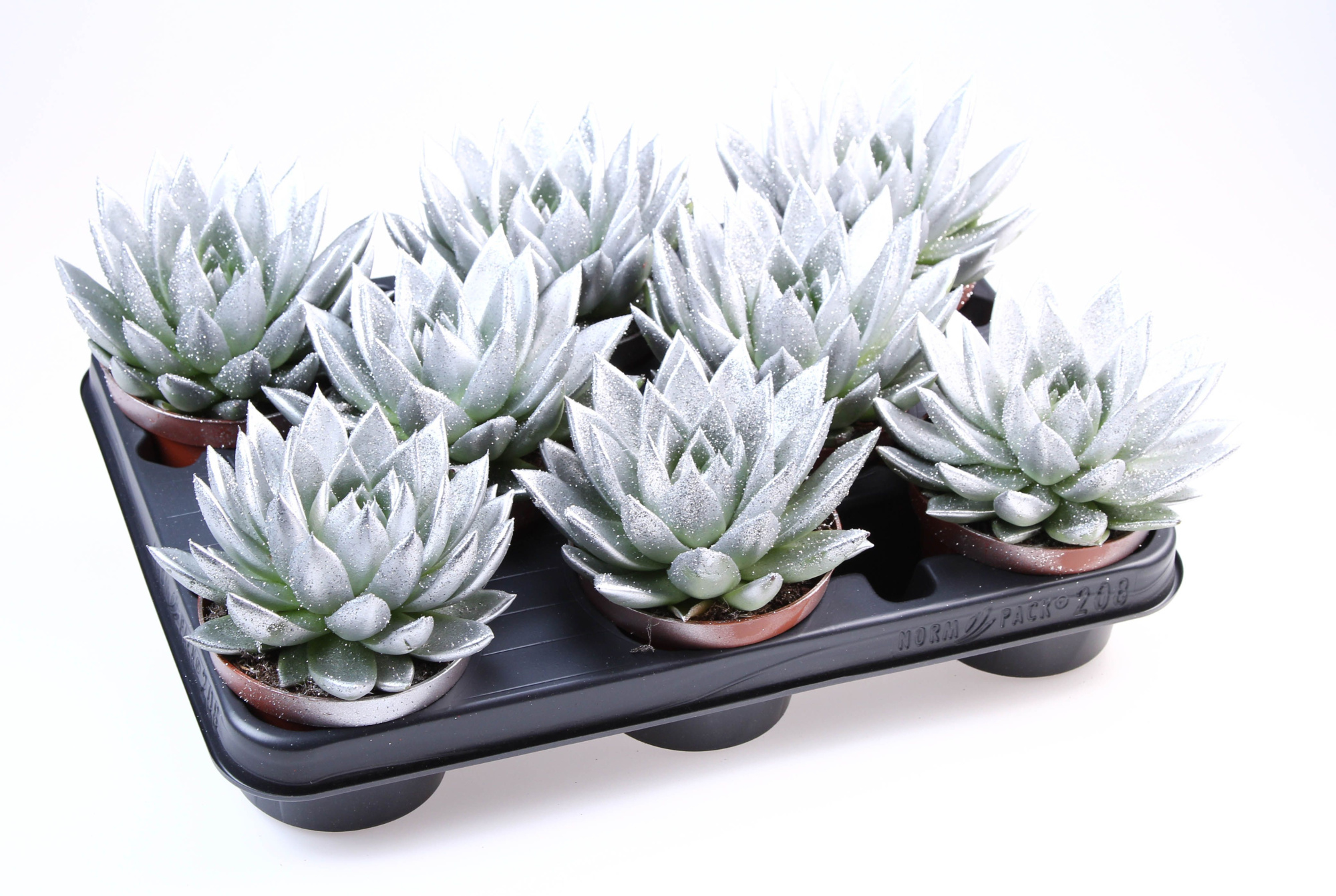 Miranda zilver + bio glitter, D 10,5