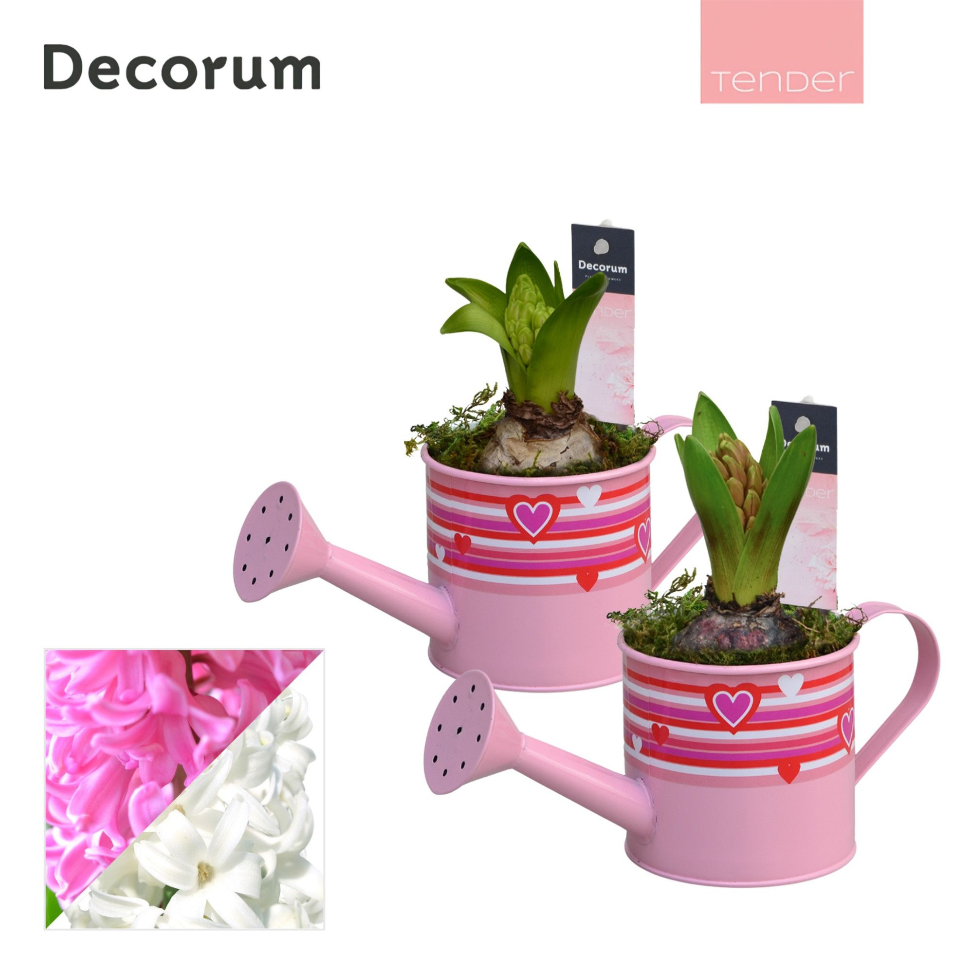 Hyacint Gieter Full of Love HL14704 [TENDER], D 10