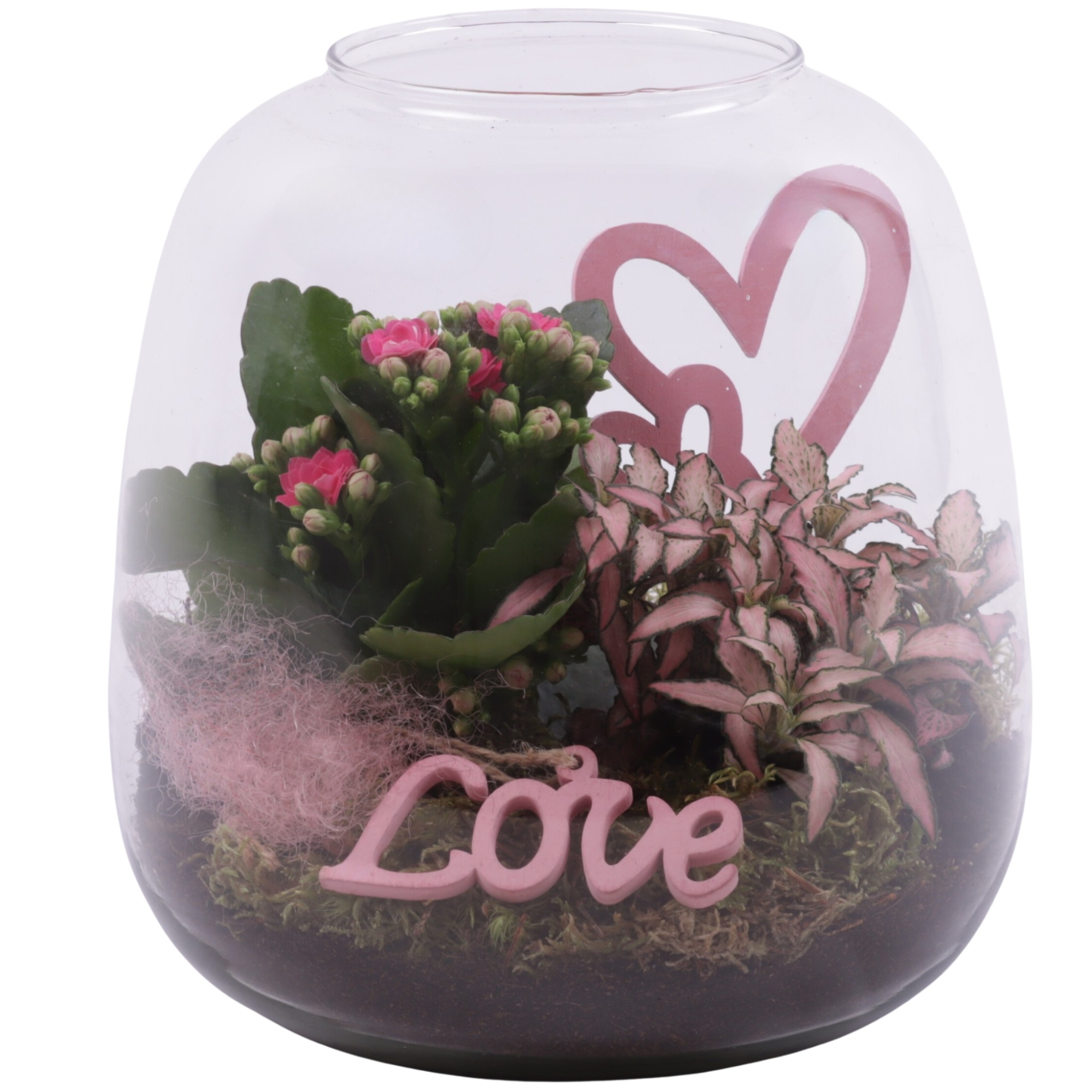 Mothersday Arr. Indoor Glass Vase Terrarium Round Ø19cm 2PP, D 19