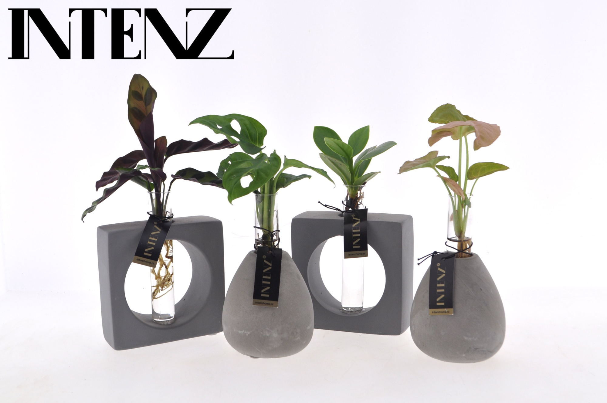 Intenz mix in Manilla 2 assortiment, D 9