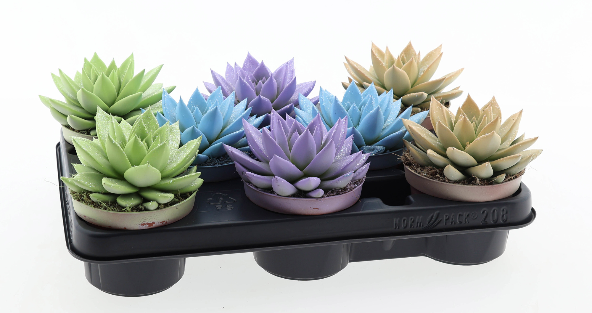 Miranda pastel glitter mix, D 10,5