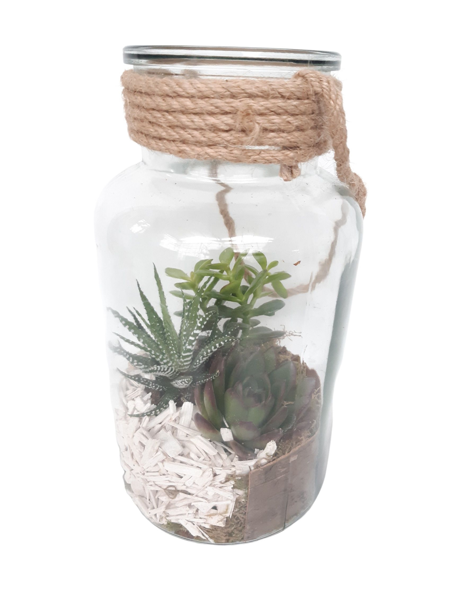 814 SUC Fles / Terrarium 14/26 mini Succulentmix, D 14